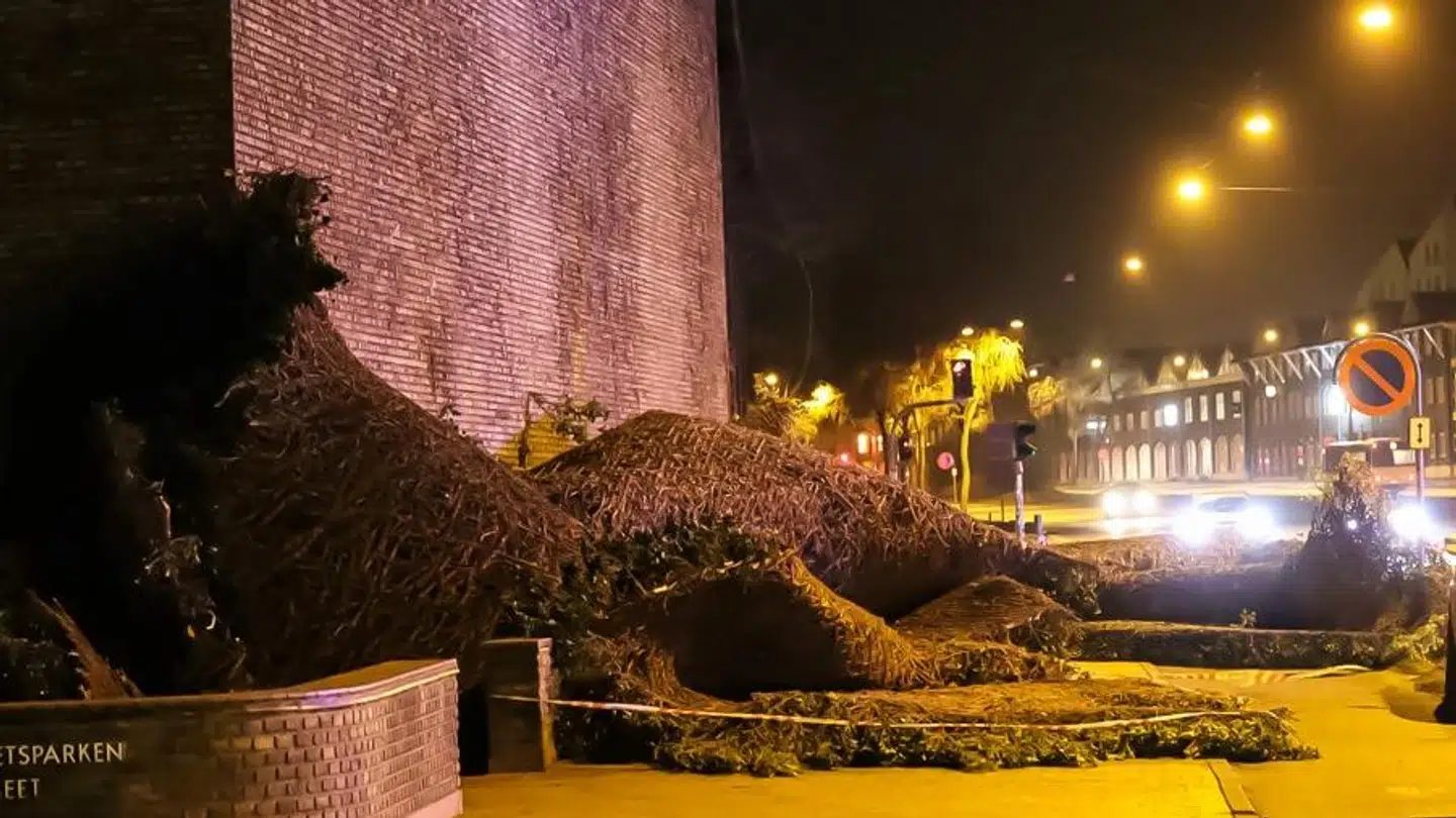 Der var lørdag aften afpærret rundt om den faldne efeu.