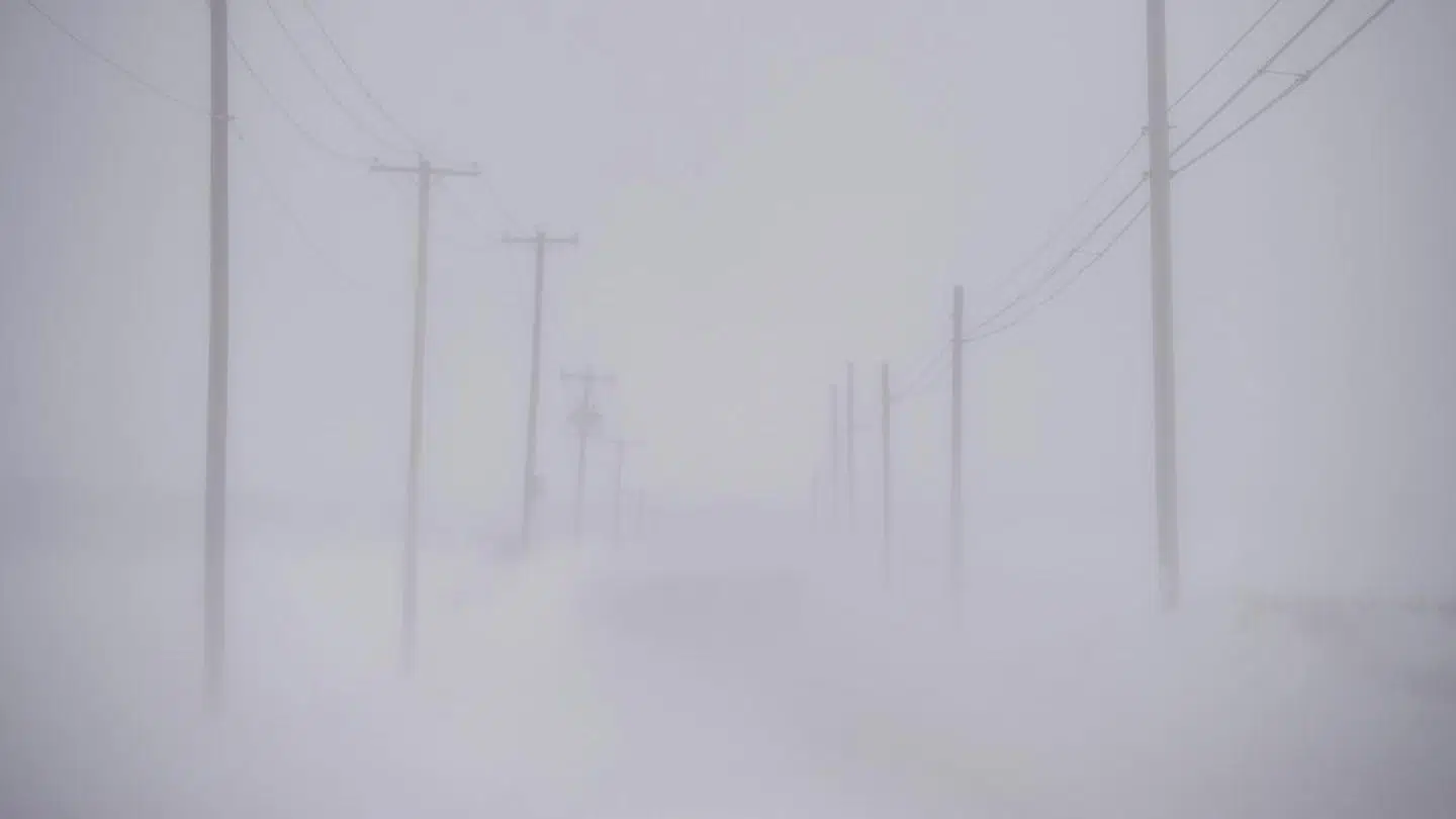 En 10-årig pige blev fanget i en snestorm i Rusland. Hendes overlevelseshemmelighed var at kramme en hund.