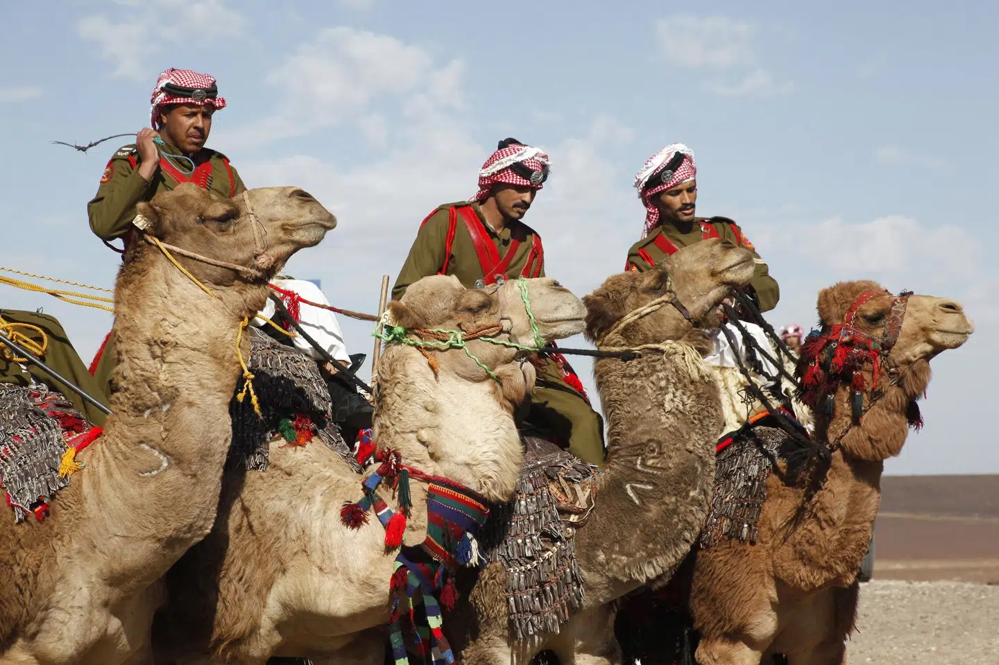 Kamelryttere fra Jordans Badia-styrker har traditionelt bevogtet Jordans grænse til Syrien. I dag er det først og fremmest det jordanske militær, der bevogter grænsen. 27 narkotikasmuglere blev meldt dræbt ved grænsen torsdag. (Arkivfoto) Majed Jaber/Reuters
