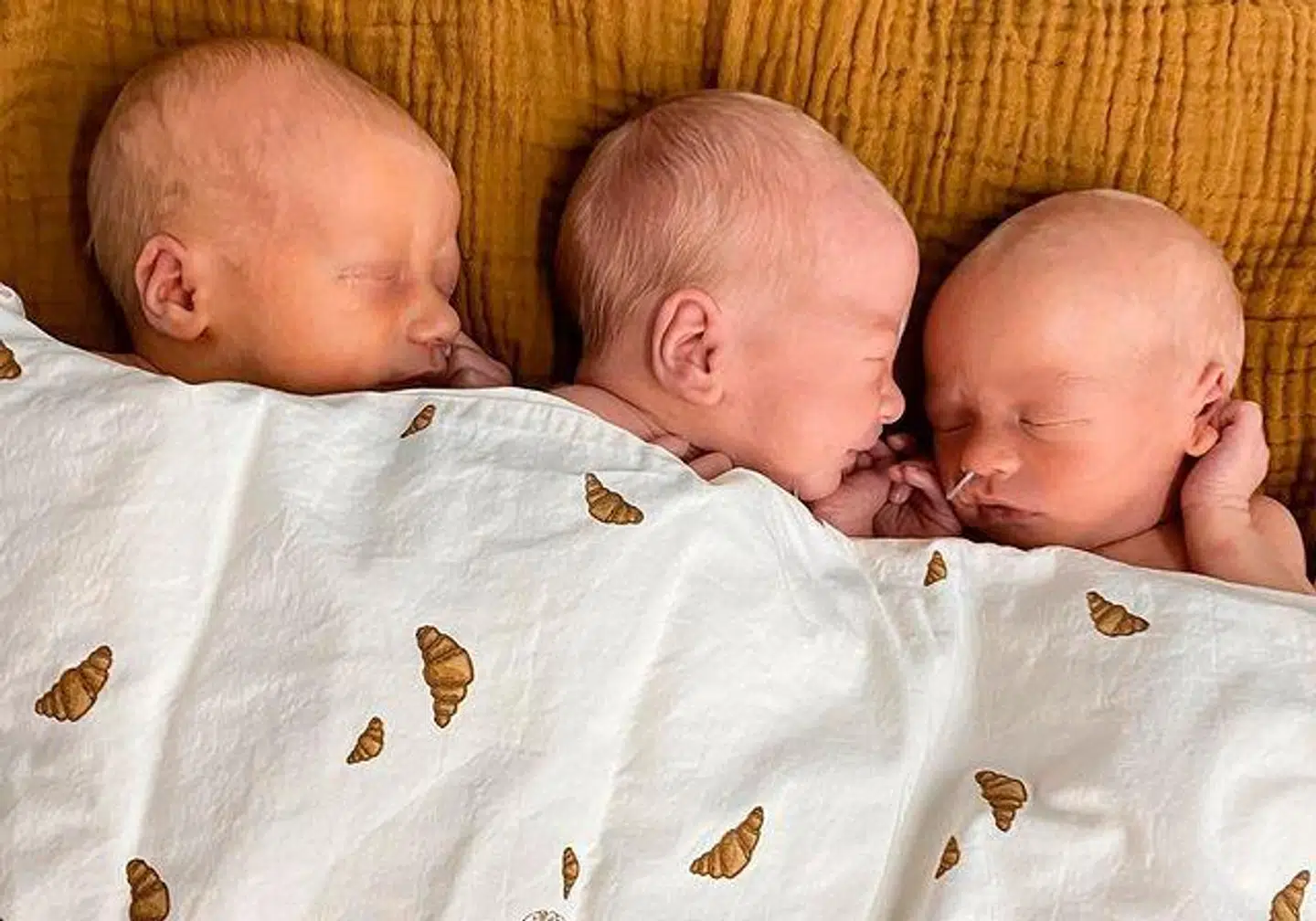 Charles, Theodore og Gabriel skal de tre guldklumper hedde, som blev født den 14. januar