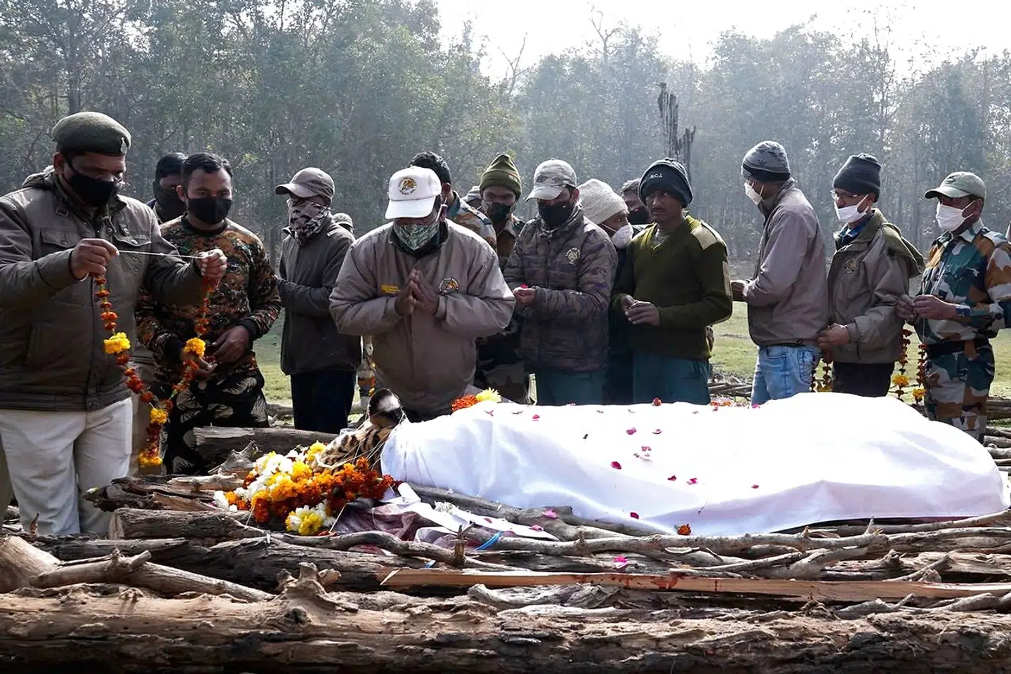Mændene beder en stille bøn for tigerhunnen 'Collarwali'.