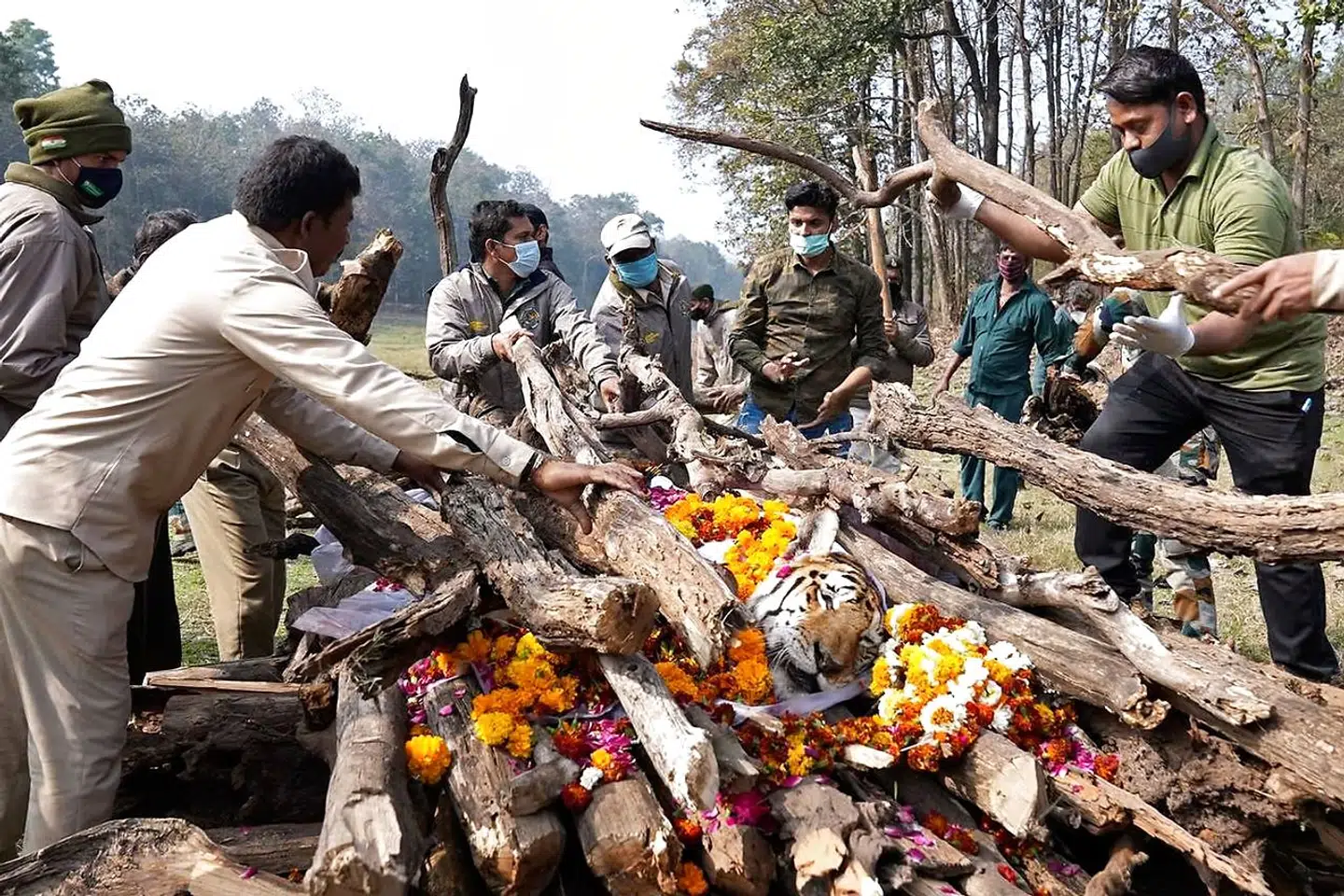 Det lægges træ på ligbådet, så 'Collarwali' kan blive kremeret.