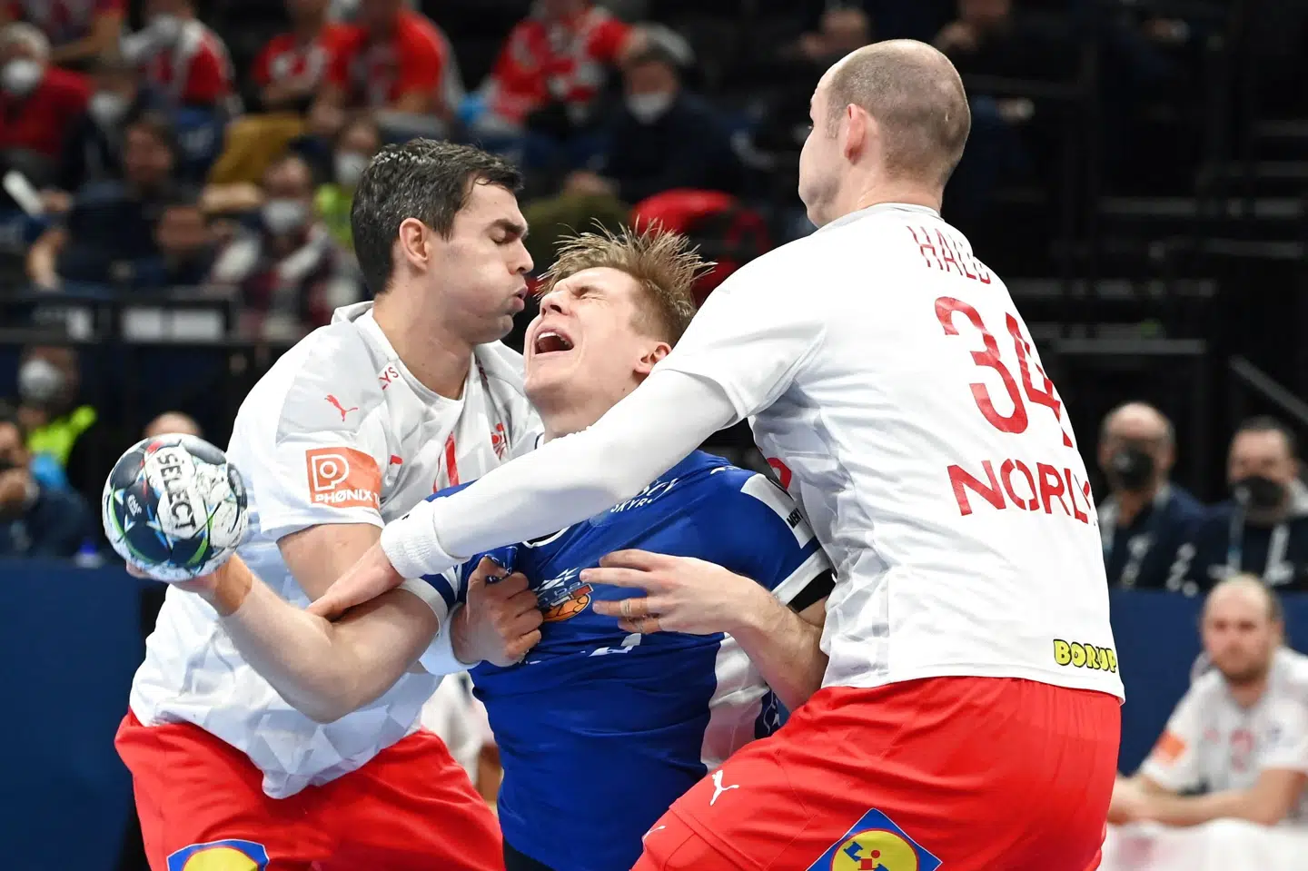 Island manglede seks coronaramte spillere - herunder et par profiler - men kæmpede flot mod Danmark. Attila Kisbenedek/Ritzau Scanpix