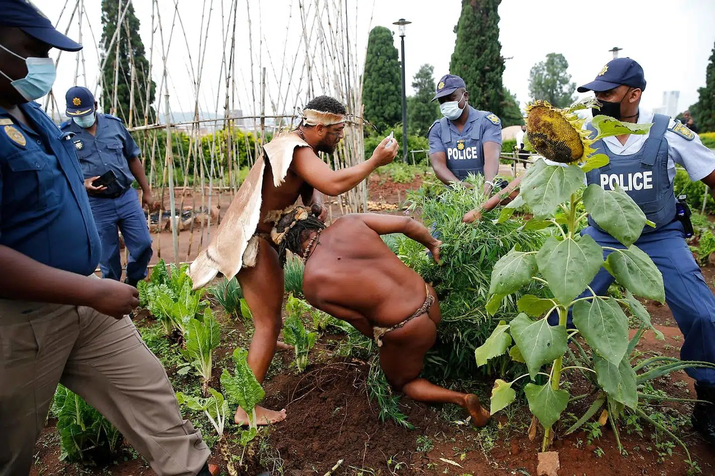 Der kommer hjælp fra en aktivist til kong Khoisan, der er ved at blive anholdt.