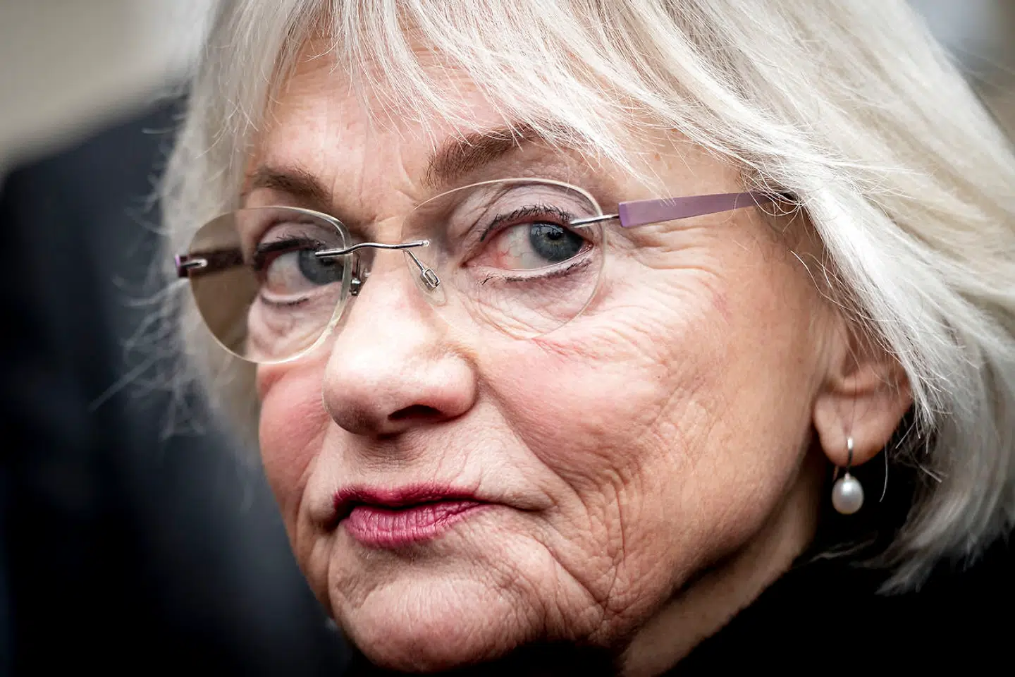 Pia Kjærsgaards lillebror blev i 1988 idømt to års fængsel for syv røverier, som han tilstod.