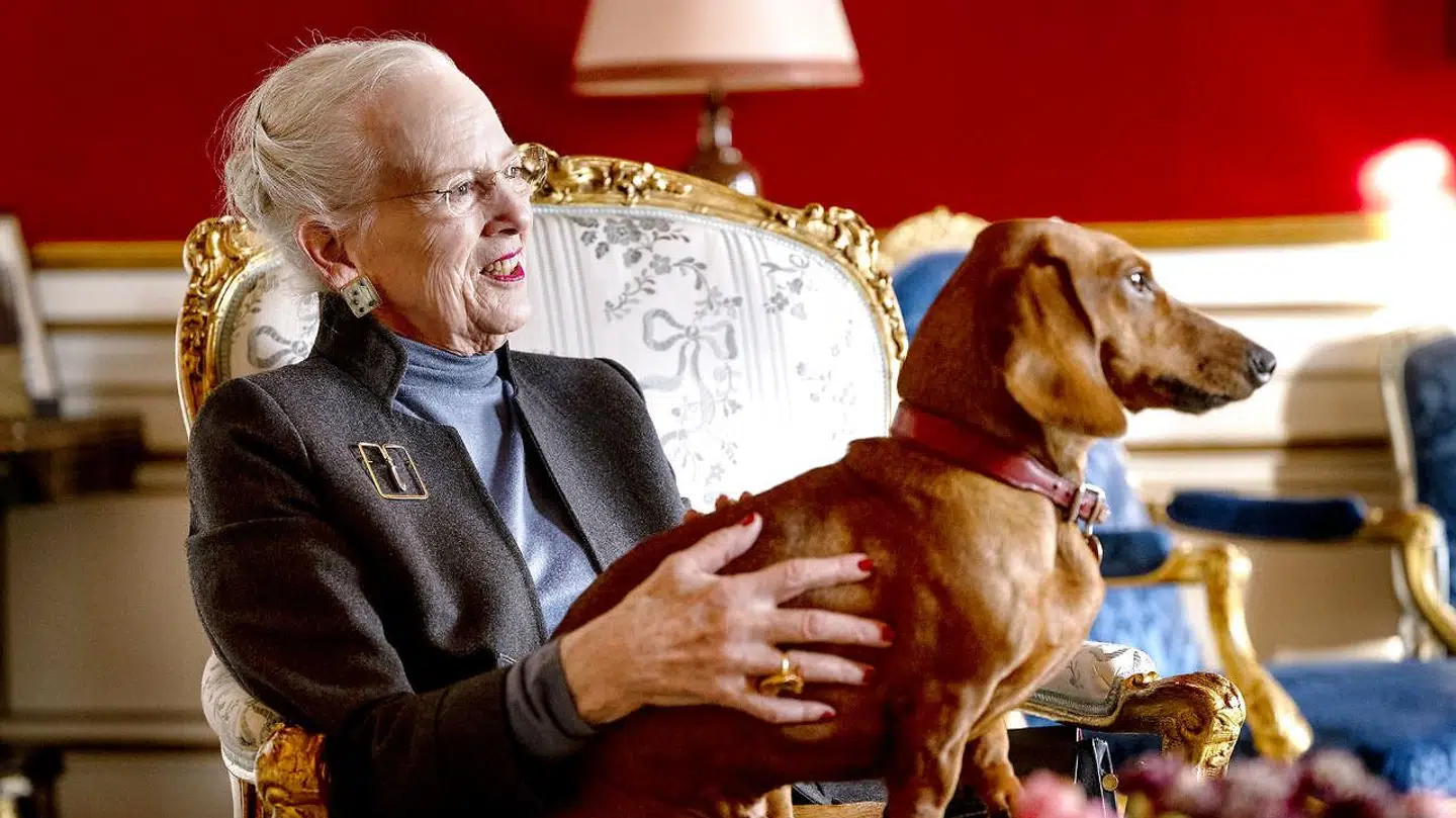 Dronning Margrethe er meget glad for sin gravhund, der dog måtte vige fra en af de kongelige stole for at gøre plads til statsministeren.