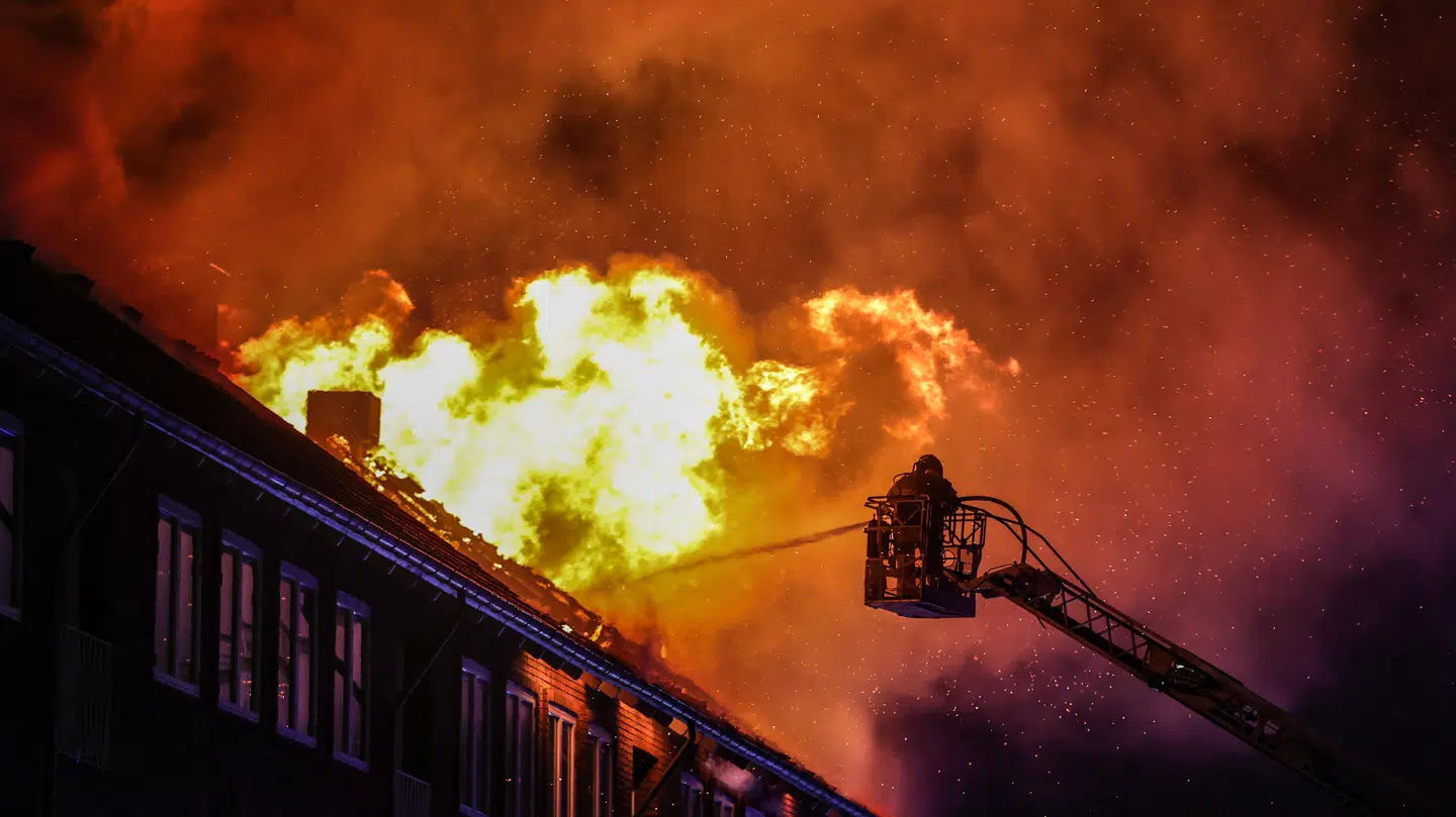 Foto: Steven Knap / Byrd