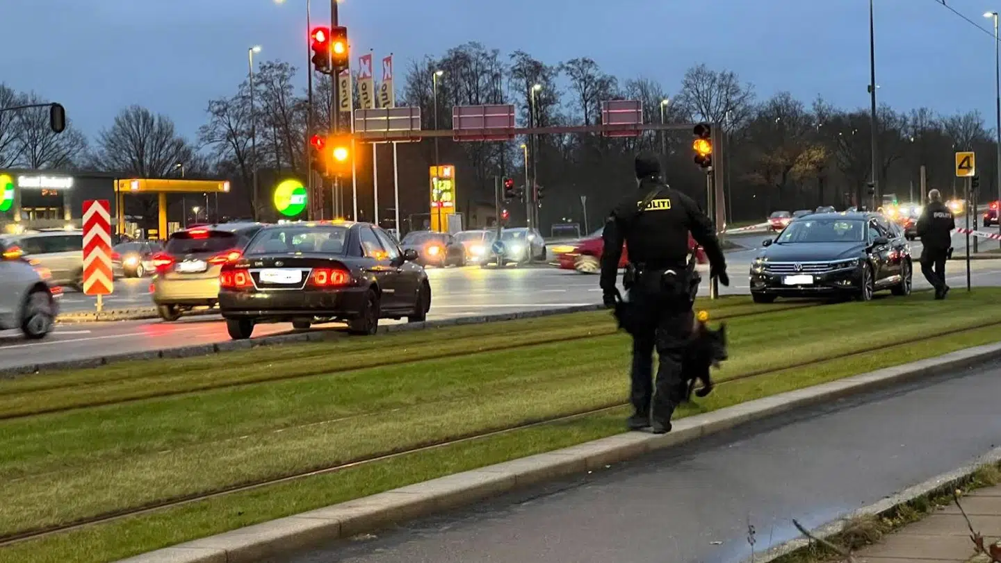 Fyns Polit er desuden massivt til stede ved Rosengårdcenteret i forbindelse med skyderiet. Her afsøger hunde området. Foto: presse-fotos.dk.