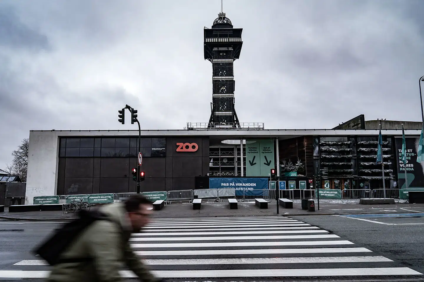 Zoologisk Have i København har meldt ud, at de foretrækker en længere nedlukning fremfor at skulle genåbne med begrænsninger. (Foto: Emil Helms/Ritzau Scanpix)