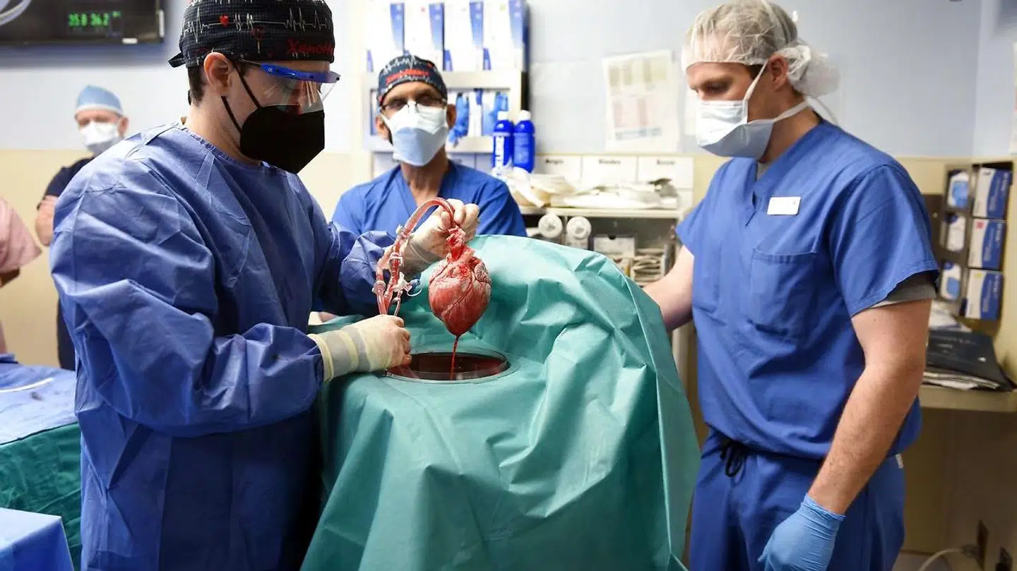 Operationen var en succes. (Foto: Scanpix)