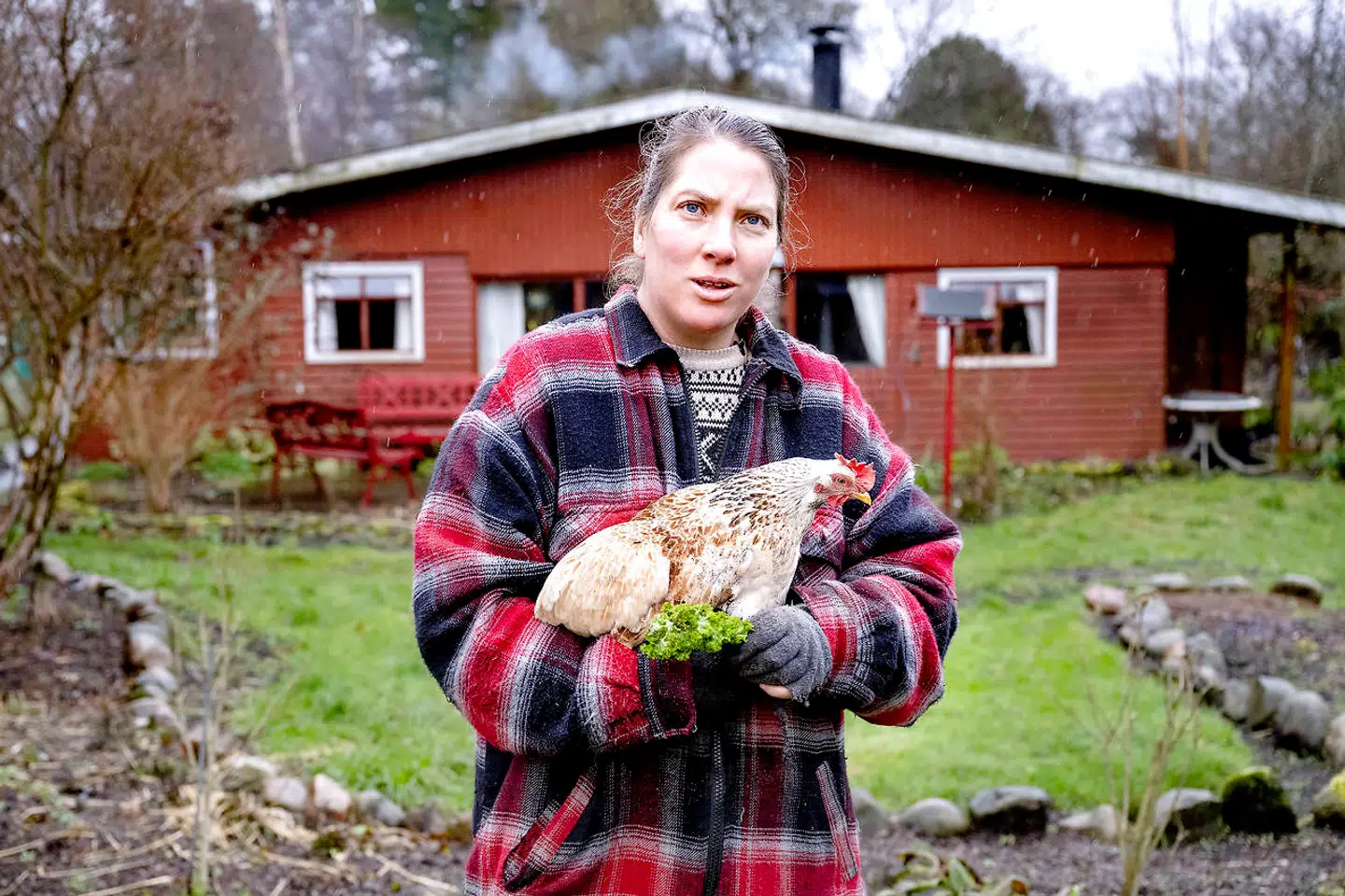 Marianne Hansen og hendes mor Annie Hansen fra Ellinge Lyng har meldt sig ud af samfundet. I 15 år har mor og datter klaret sig selv uden hjælp fra staten.De har intet job, nægter at betale skat og afviser offentlige ydelser. De to kvinder, der bor i et ældre sommerhus, vil være helt selvforsynende og fri af velfærdssamfundet. Marianne sammen med en af sine høns.