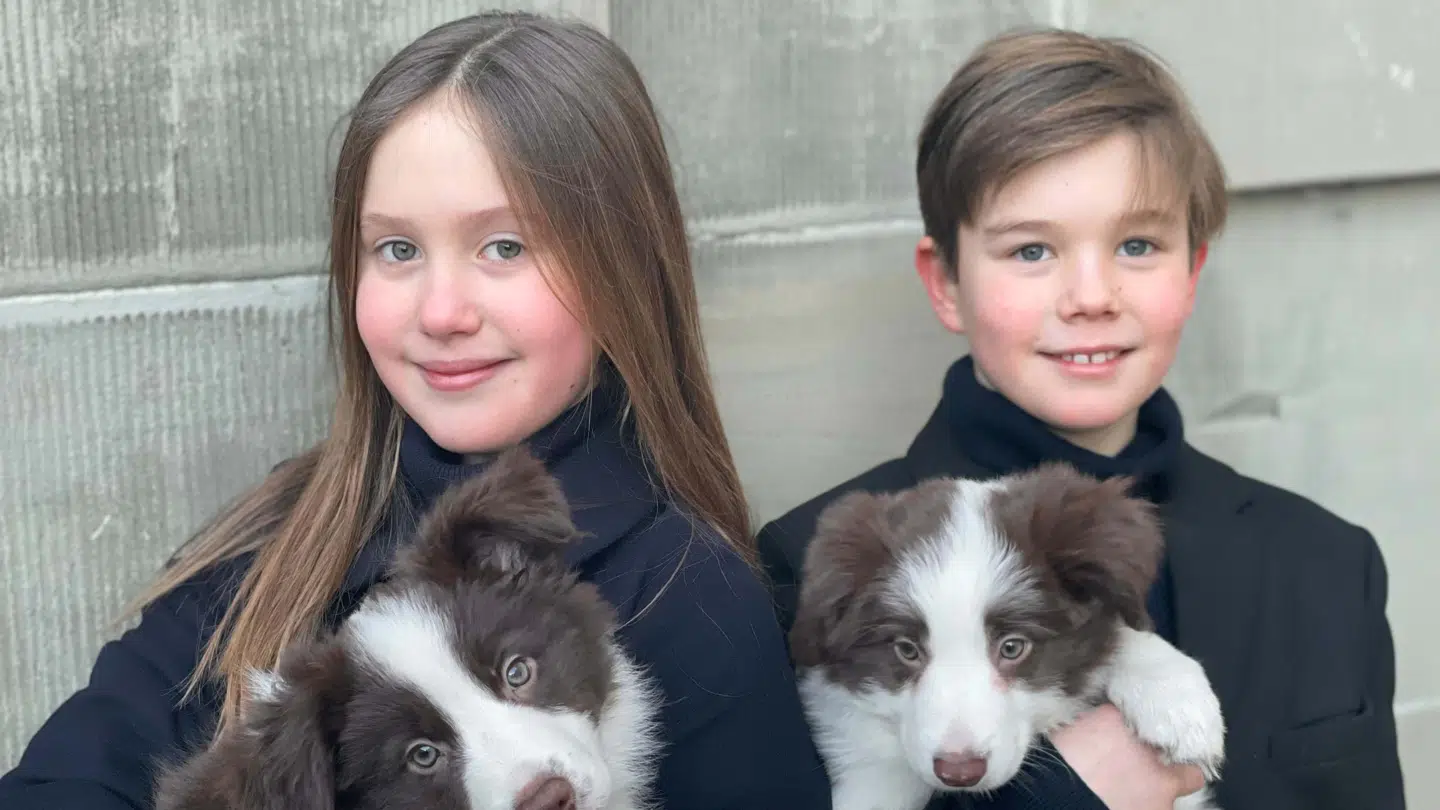 Prinsesse Josephine og prins Vincent fylder 11 år. Foto: Kronprinsesse Mary