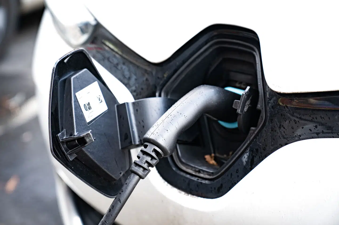 Der kommer flere biler, der kan lades op, i gadebilledet. I december var over halvdelen af de solgte biler opladelige. Det er rekord. (Arkivfoto) Emil Helms/Ritzau Scanpix