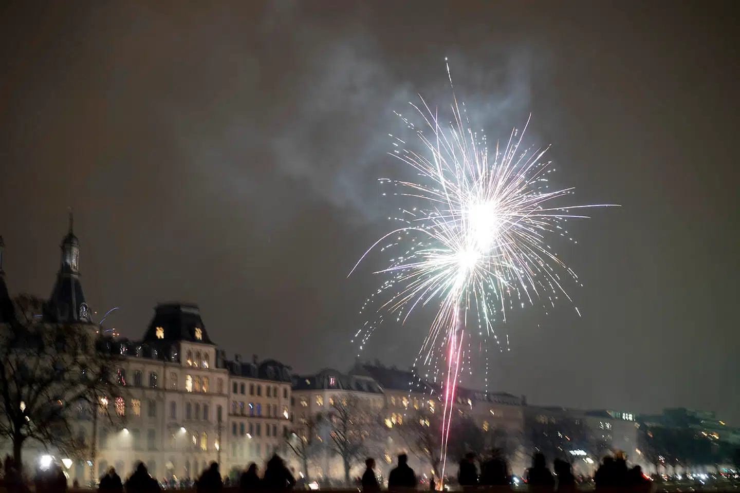 Nytåret skydes ind på Dronning Louises Bro i København.