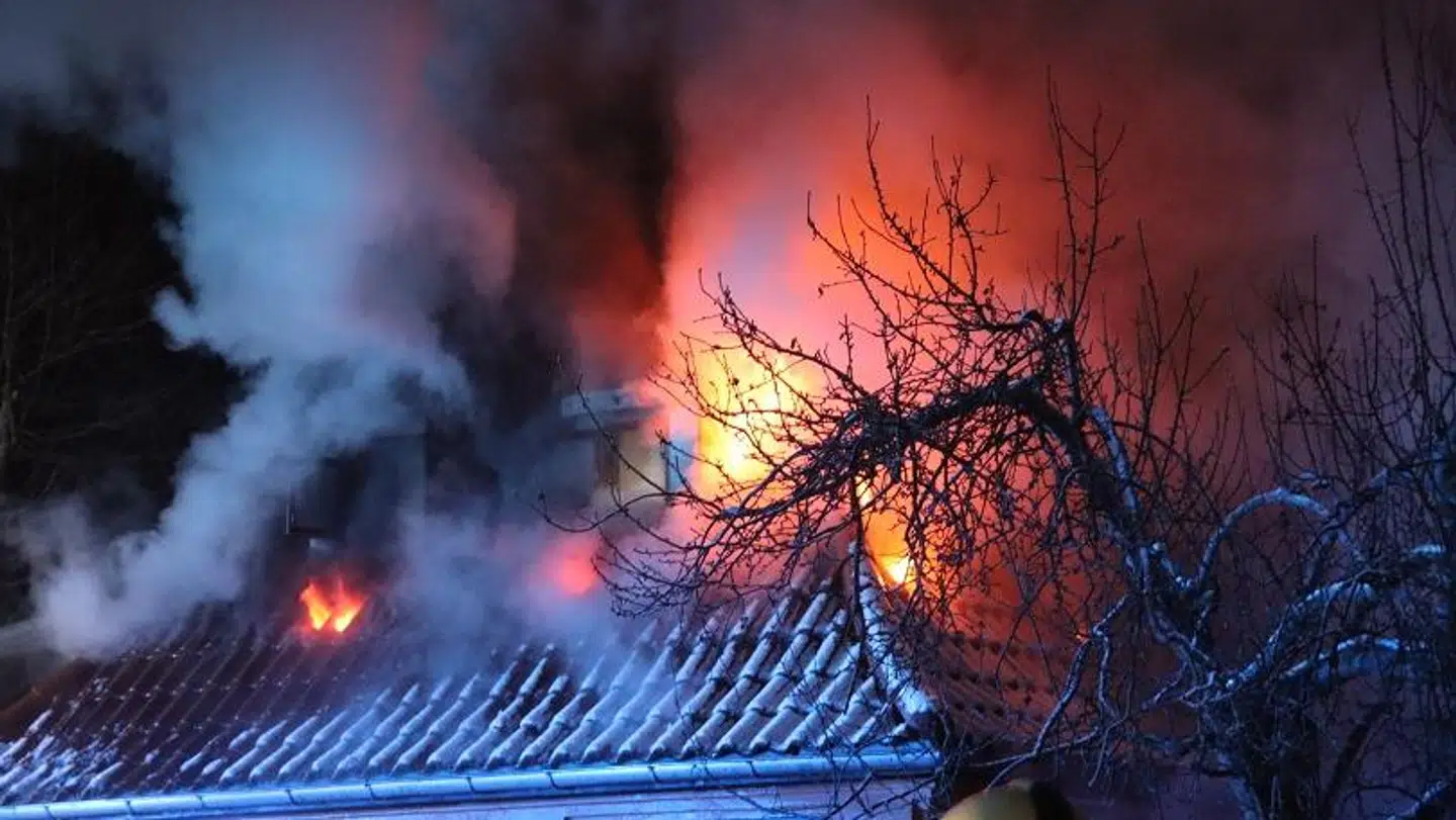 Foto: Presse-fotos.dk