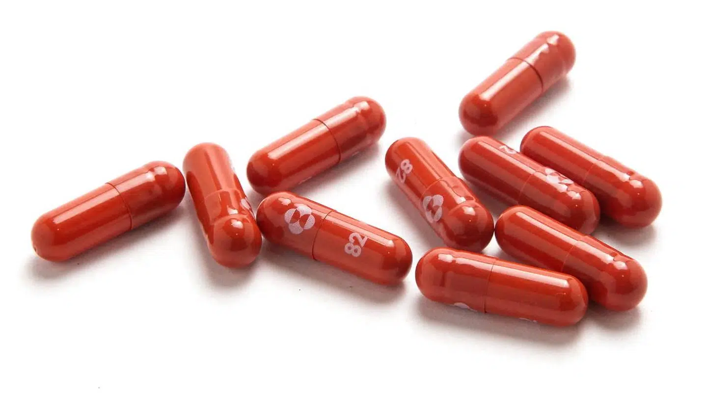 FILE PHOTO: An experimental COVID-19 treatment pill, called molnupiravir and being developed by Merck & Co Inc and Ridgeback Biotherapeutics LP, is seen in this undated handout photo released by Merck & Co Inc and obtained by Reuters on October 26, 2021. Merck & Co Inc/Handout via REUTERS ATTENTION EDITORS - THIS IMAGE HAS BEEN SUPPLIED BY A THIRD PARTY/File Photo