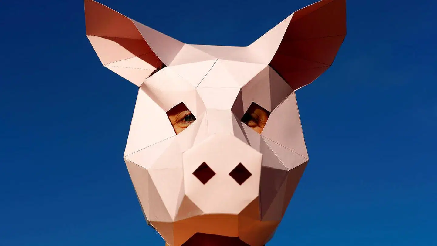 ARKIVFOTO. En tysk PETA-aktivist bærer grisemaske i forbindelse med en protest over kastrationen af små grise i 2019.