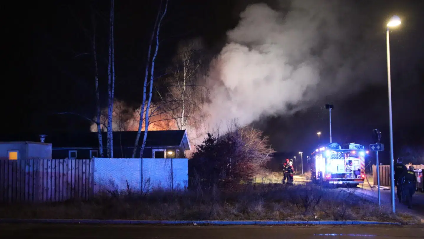 Foto: Presse-fotos.dk