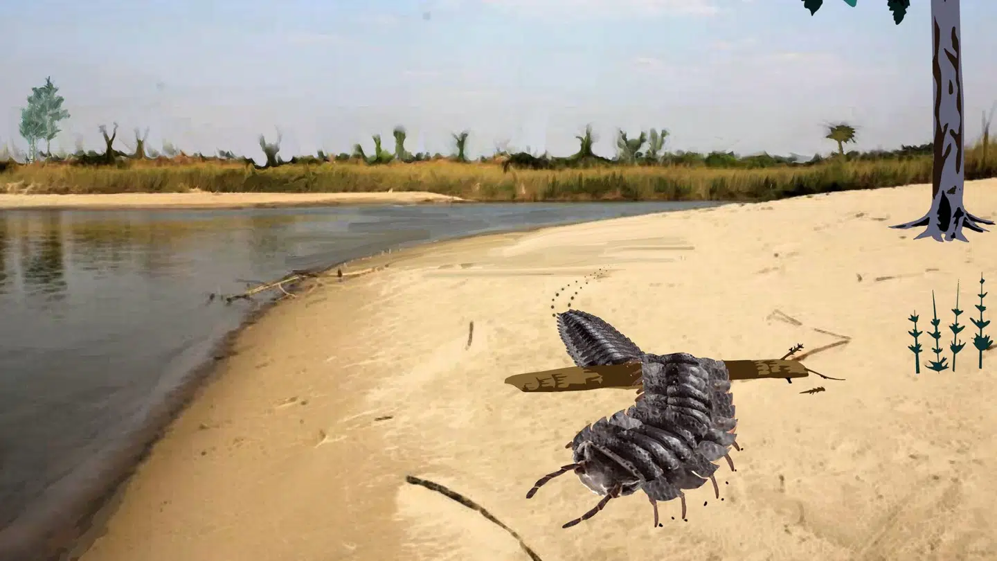 En tegning af Arthropleura.