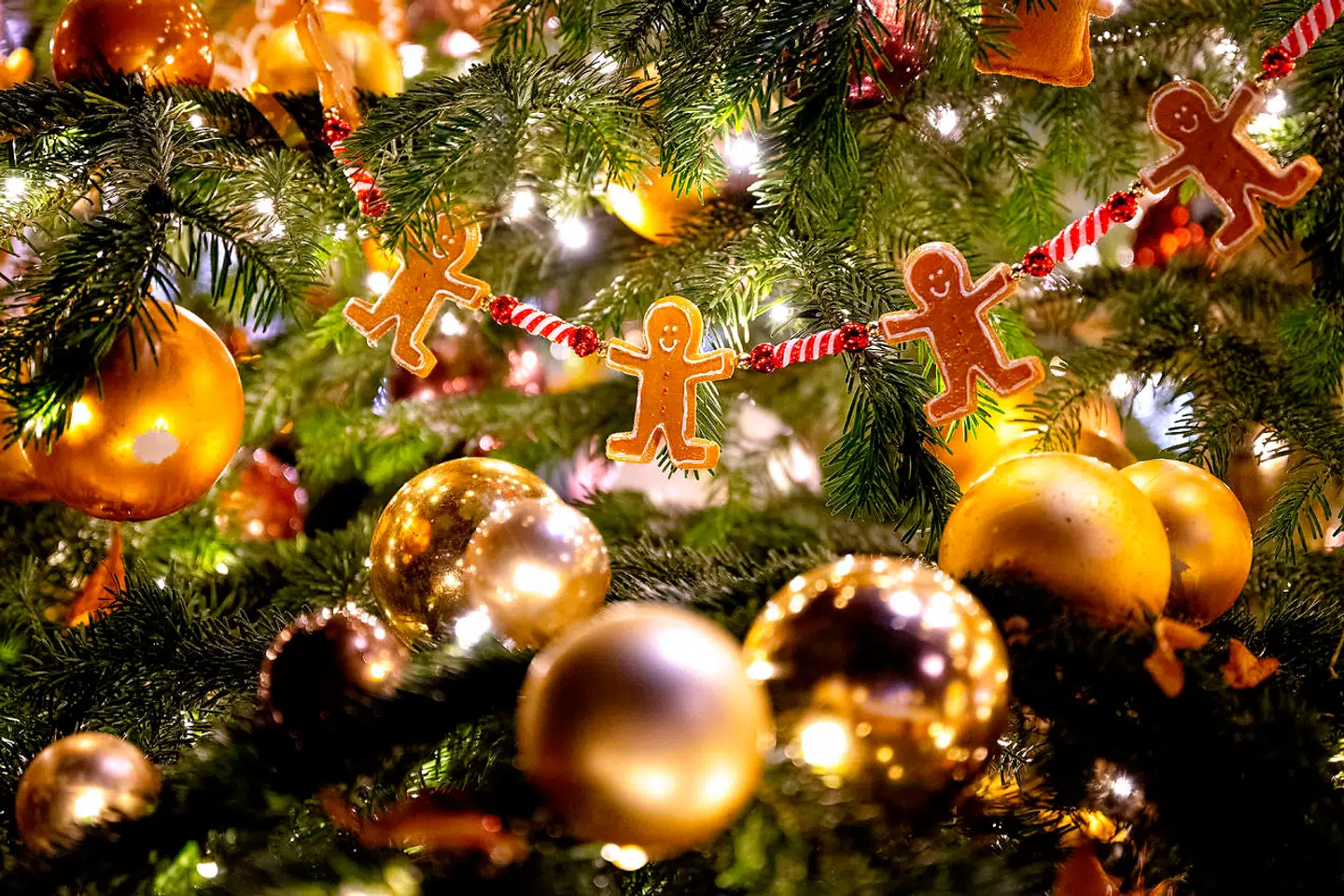 Julepynt - brugt julepynt - er den helt store handelsvare her i december. Fynboerne er det folkefærd i landet, som suverænt køber mest second hand julepynt. Salget er gået op med 33 procent siden sidste år.