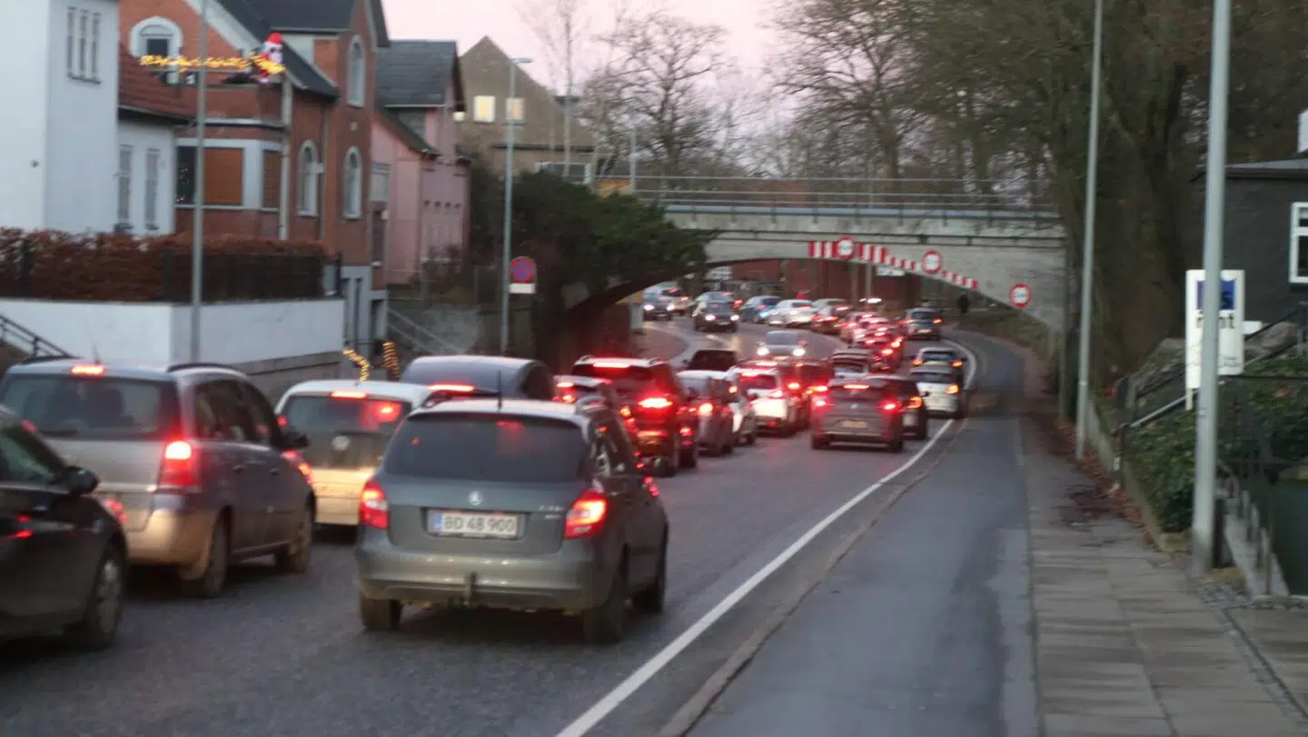 Odense Zoo har aldrig oplevet så store køer før. Foto: Presse-fotos.dk