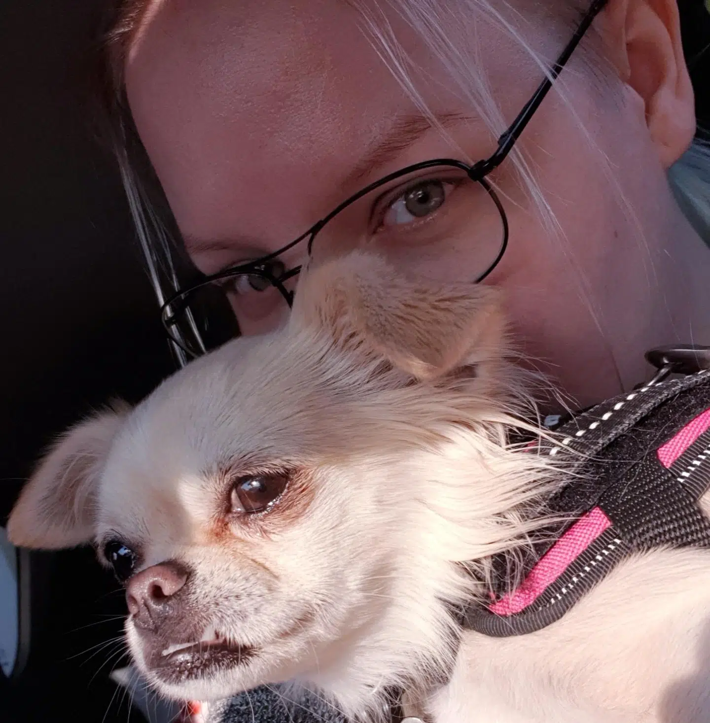 Camilla Jennifer Andersen med chihuahuaen Avalon.