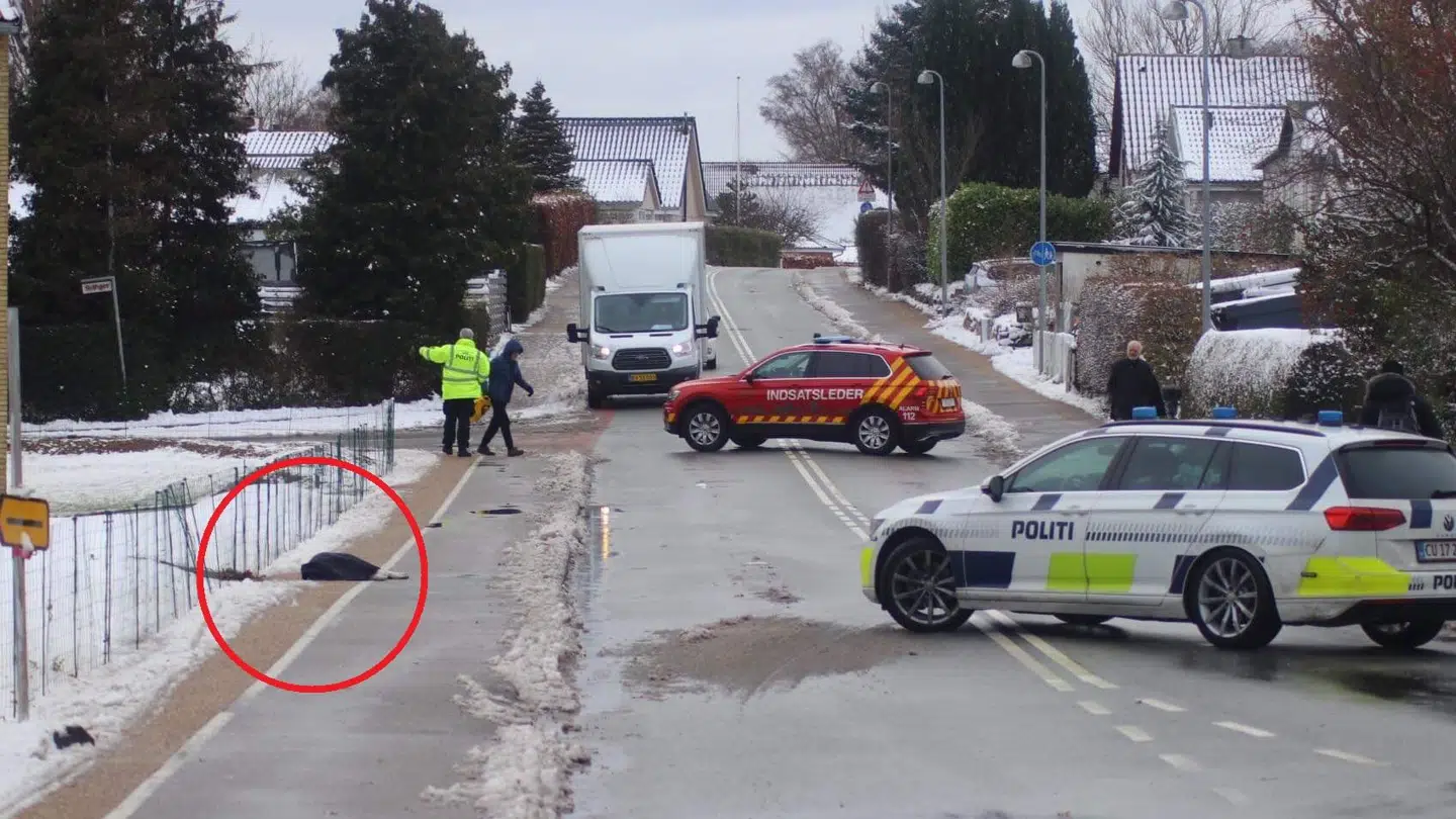 En hund er død af stød og en ambulance er på vej til ejeren af hunden. Foto:Presse-fotos.dk