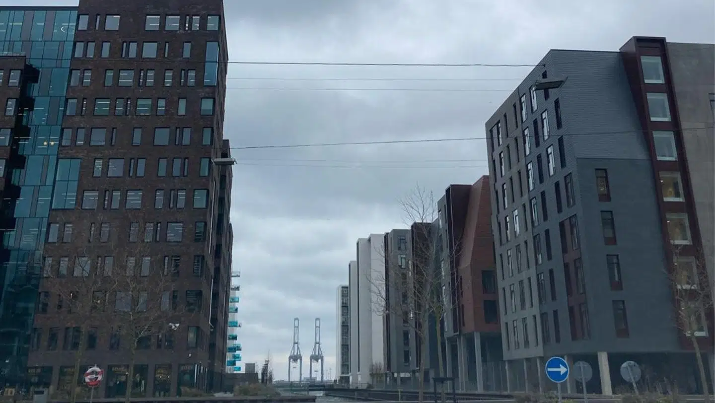 Anne Sophia Hermansen tog dette billede på Aarhus Ø, som hun mener er en ørken af beton.