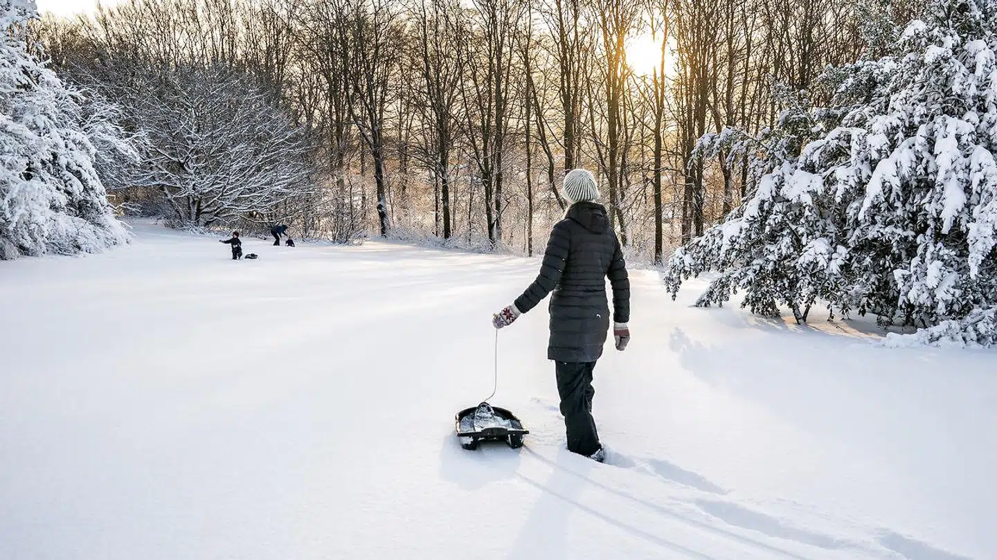 I Mølleparken blev kælkene hurtigt fundet frem, da sneen kom 1. decemmber.