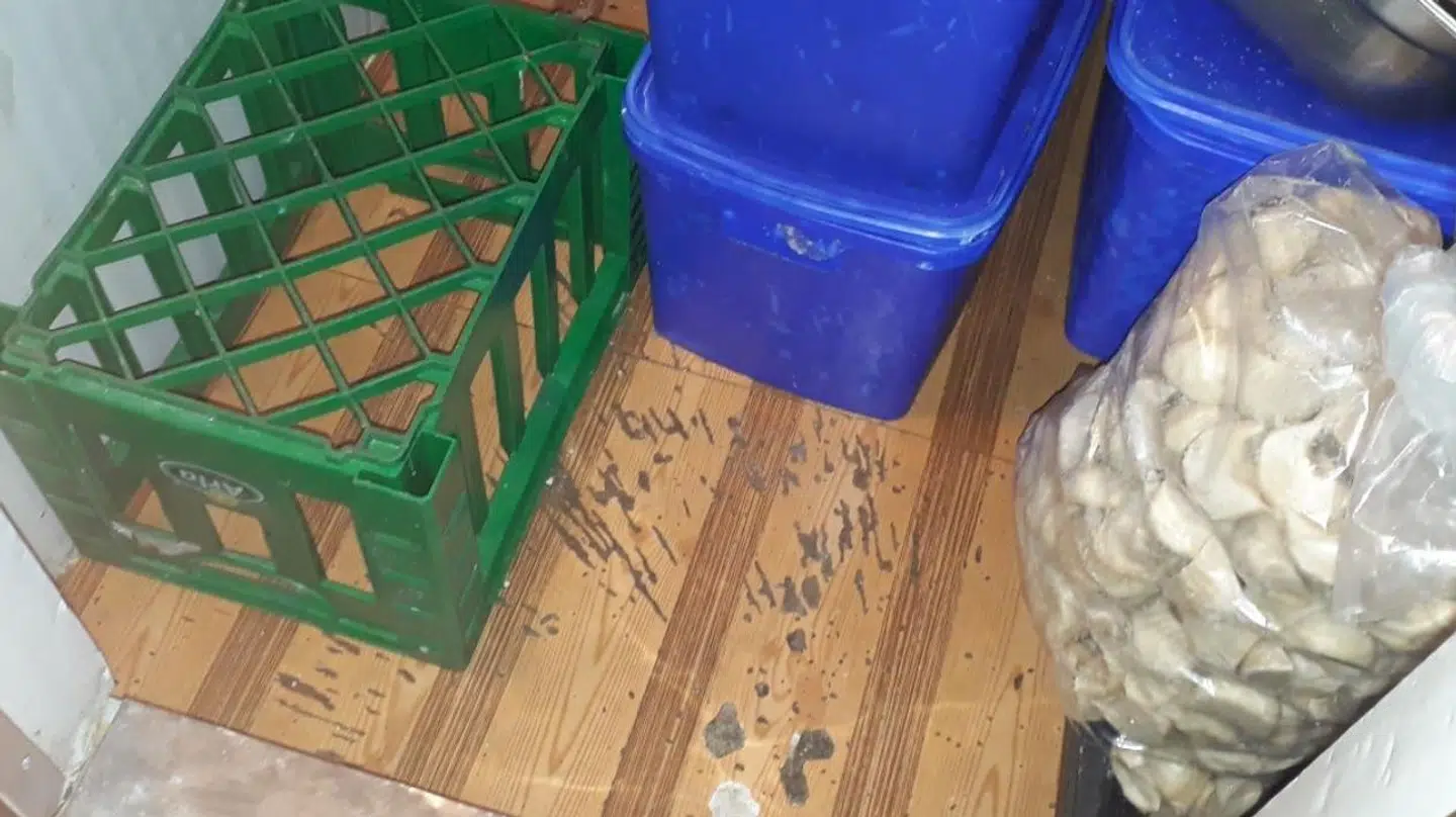 Sådan så der ud i fryserummet under et af de tidligere kontrolbesøg. Gulvet var fyldt med hakker, der gjorde det svært at renholde. Foto: Fødevarestyrelsen