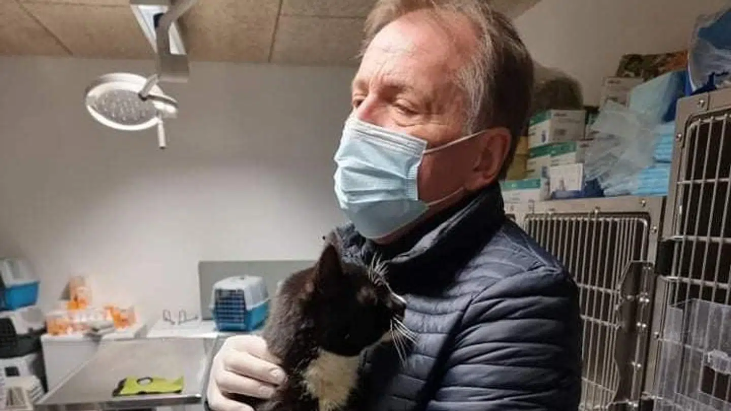 Efter flere måneder som omfarende kat og fast gæst på grillen Banjo's blev Charlie lørdag genforenet med sin ejer. Foto: Fyns Dyreinternat