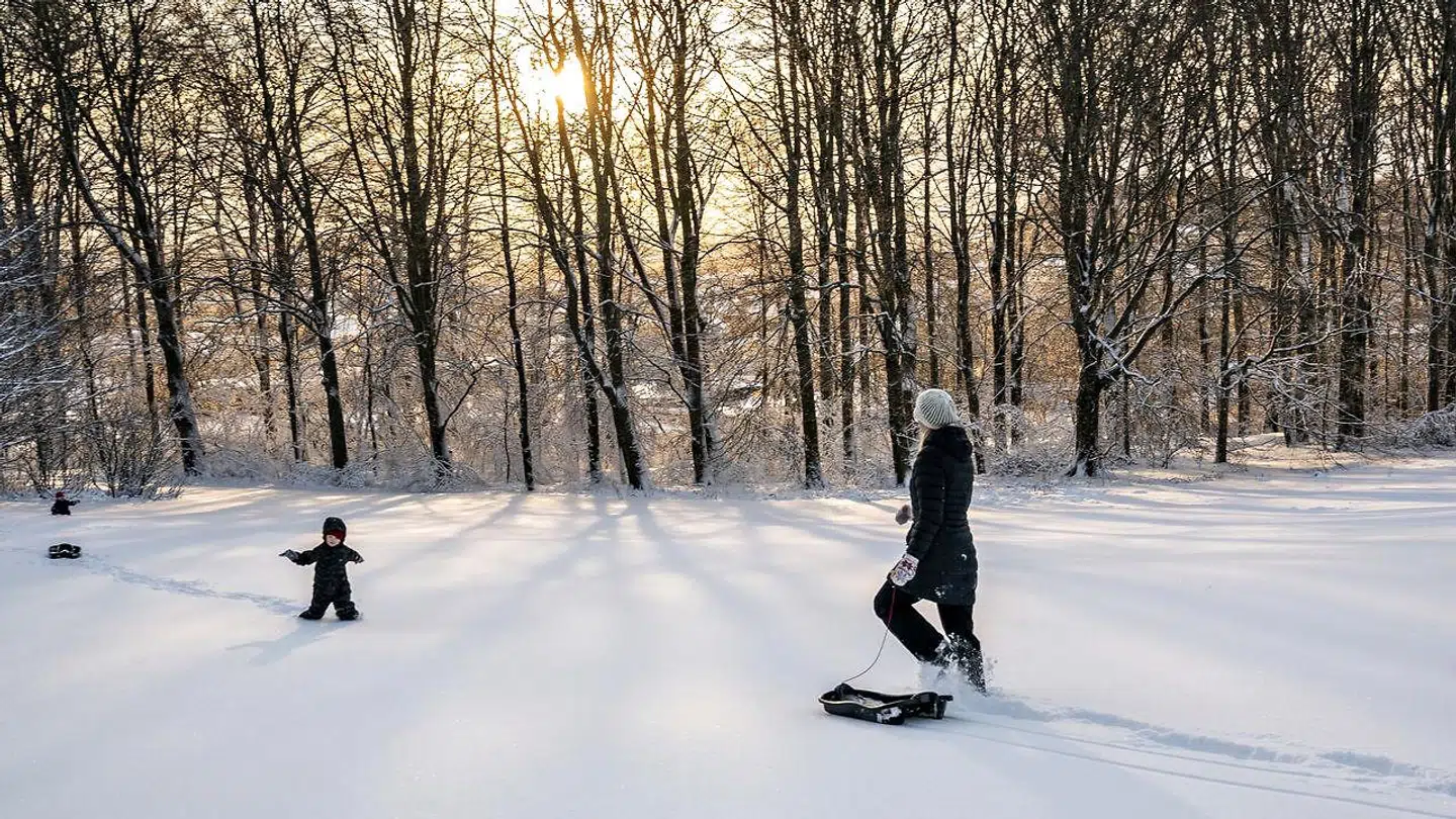 Sneen væltede indover Aalborg denne uge.