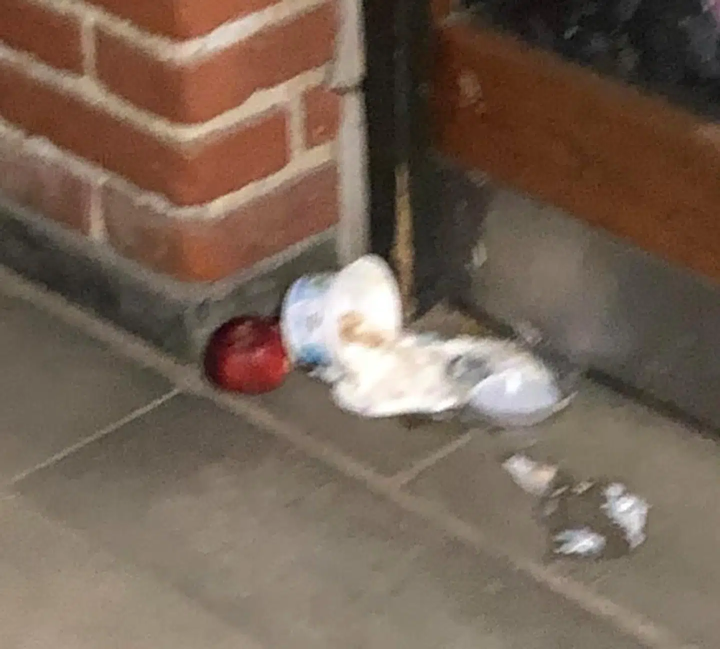 Forældrene har lagt mærke til, at det ofte flyder med madrester og affald.