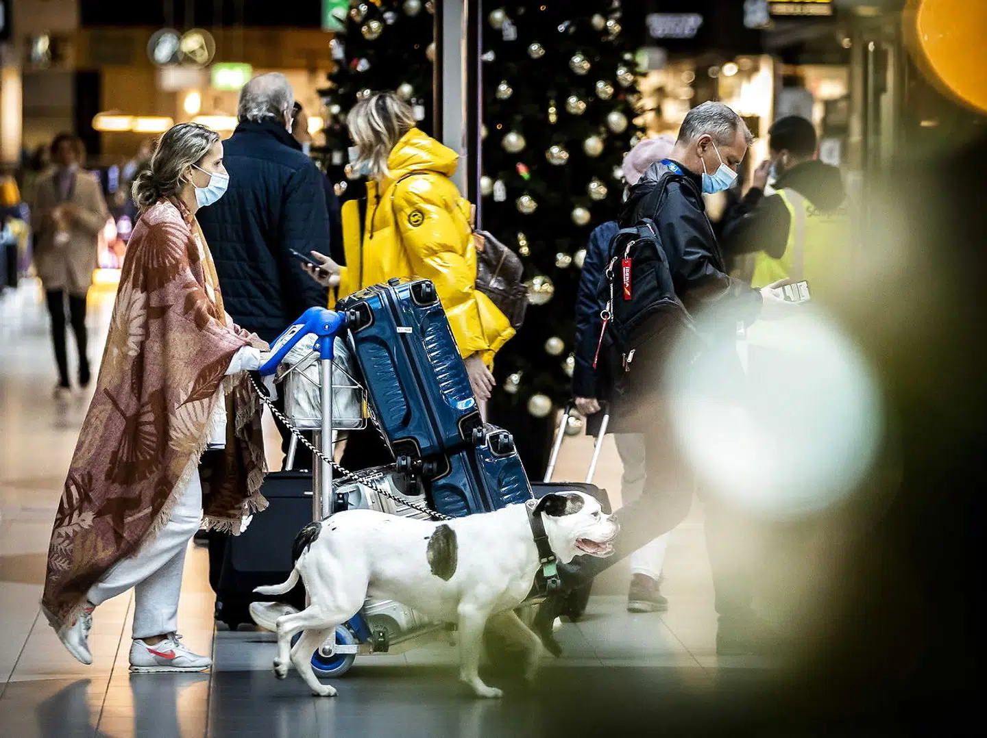 Ankommende til Amsterdam fra Sydafrika. Mindst 13 passagerer på denne rute er allerede testet positive for den nye omikronvariant.