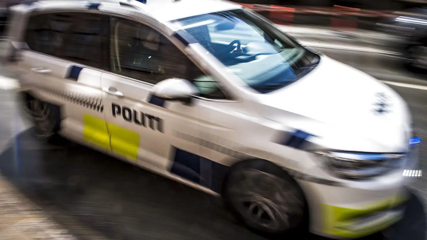 Hundepatruljen fandt et skunklaboratorie i en lejlighed i Egå. En 29-årig er nu sigtet.