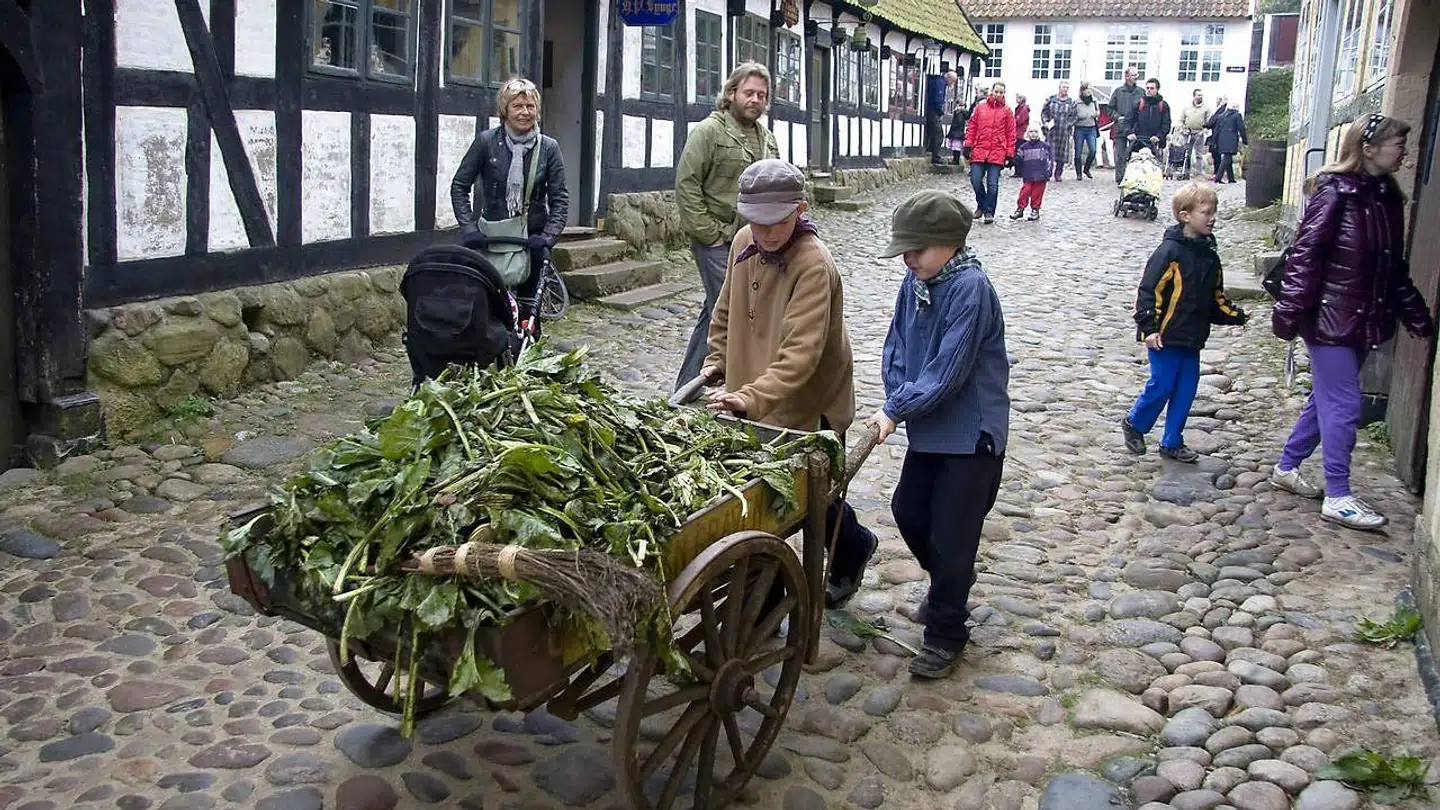 Samlingen på omkring 300.000 originaltegninger kommer til Den Gamle By. Museet for Dansk Bladtegning regner med at åbne i efteråret 2022.