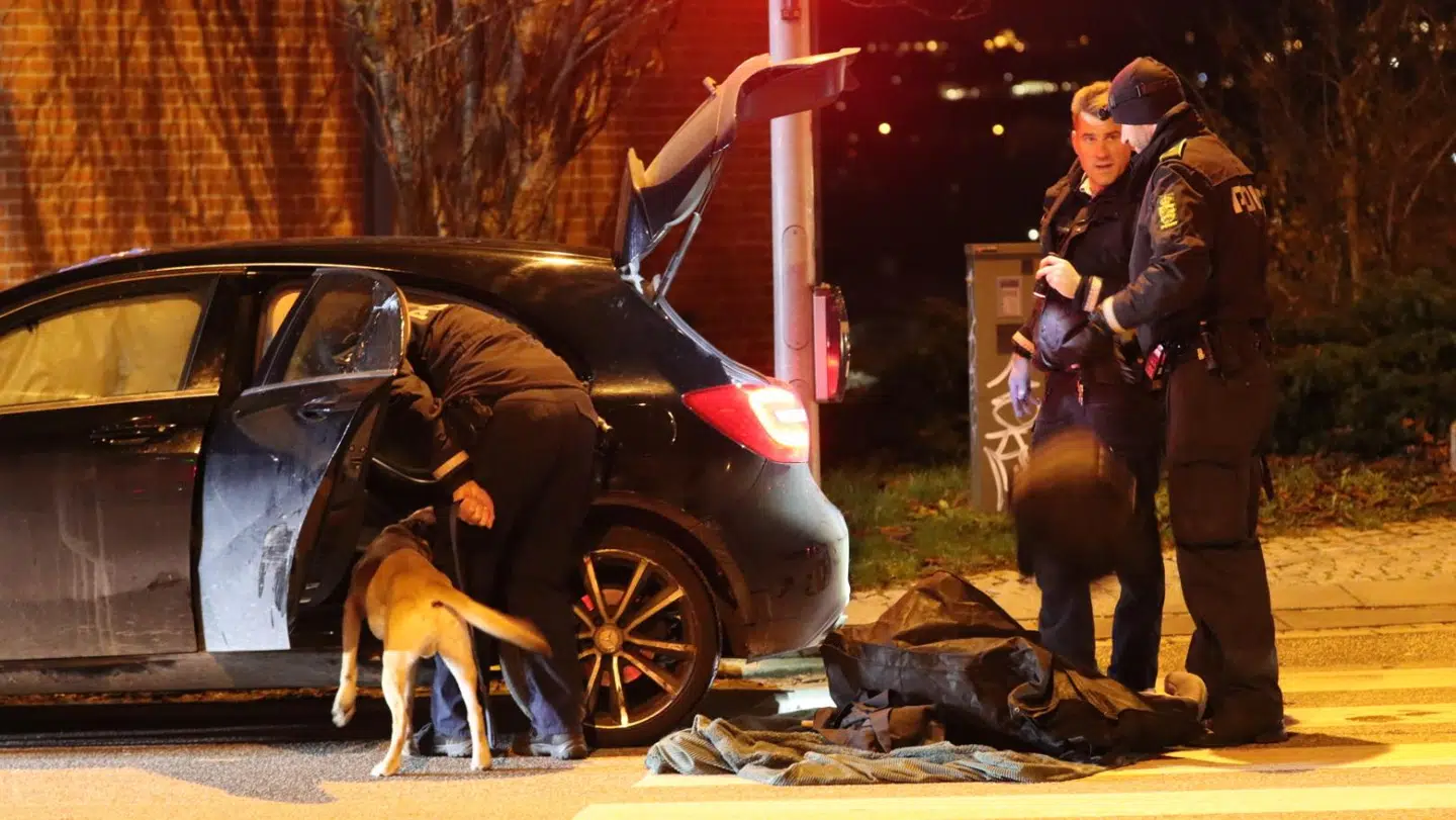 Der var flere betjente og også en politihund til stede på stedet.