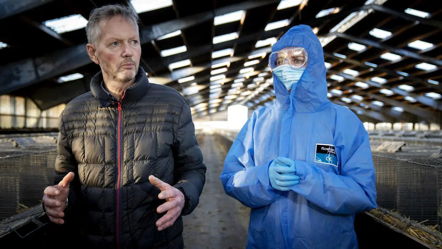 Sådan så det ud, da Mette Frederiksen (i den blå beskyttelsesdragt) blev vist rundt på Peter Hindbos minkfarm sidst i november 2020.