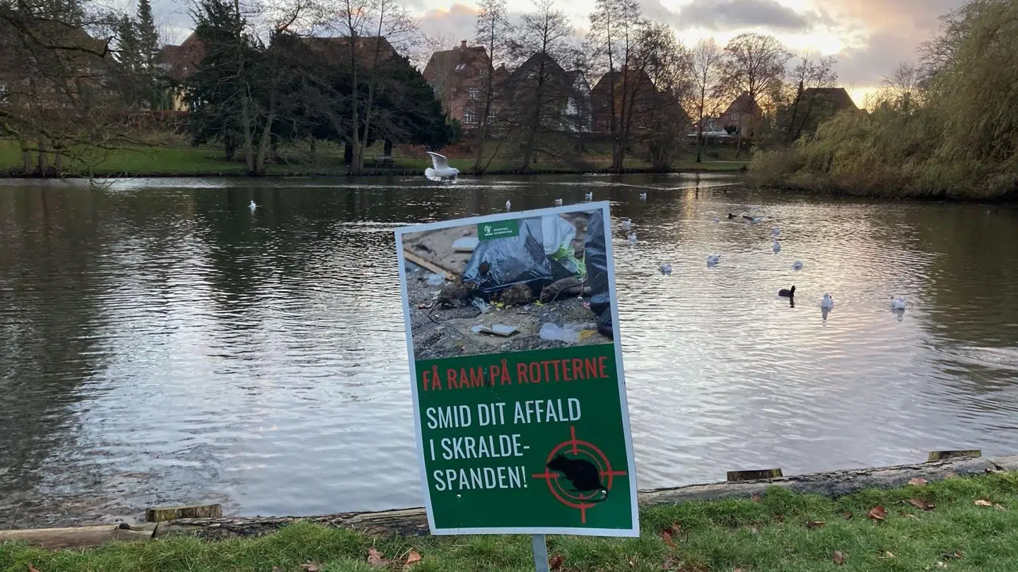 Ifølge parkforvalter Hanne Pedersen handler det om at informere borgerne om rotter, uden at Munke Mose bliver til en skov af skilte med forbud og løftede pegefingre.