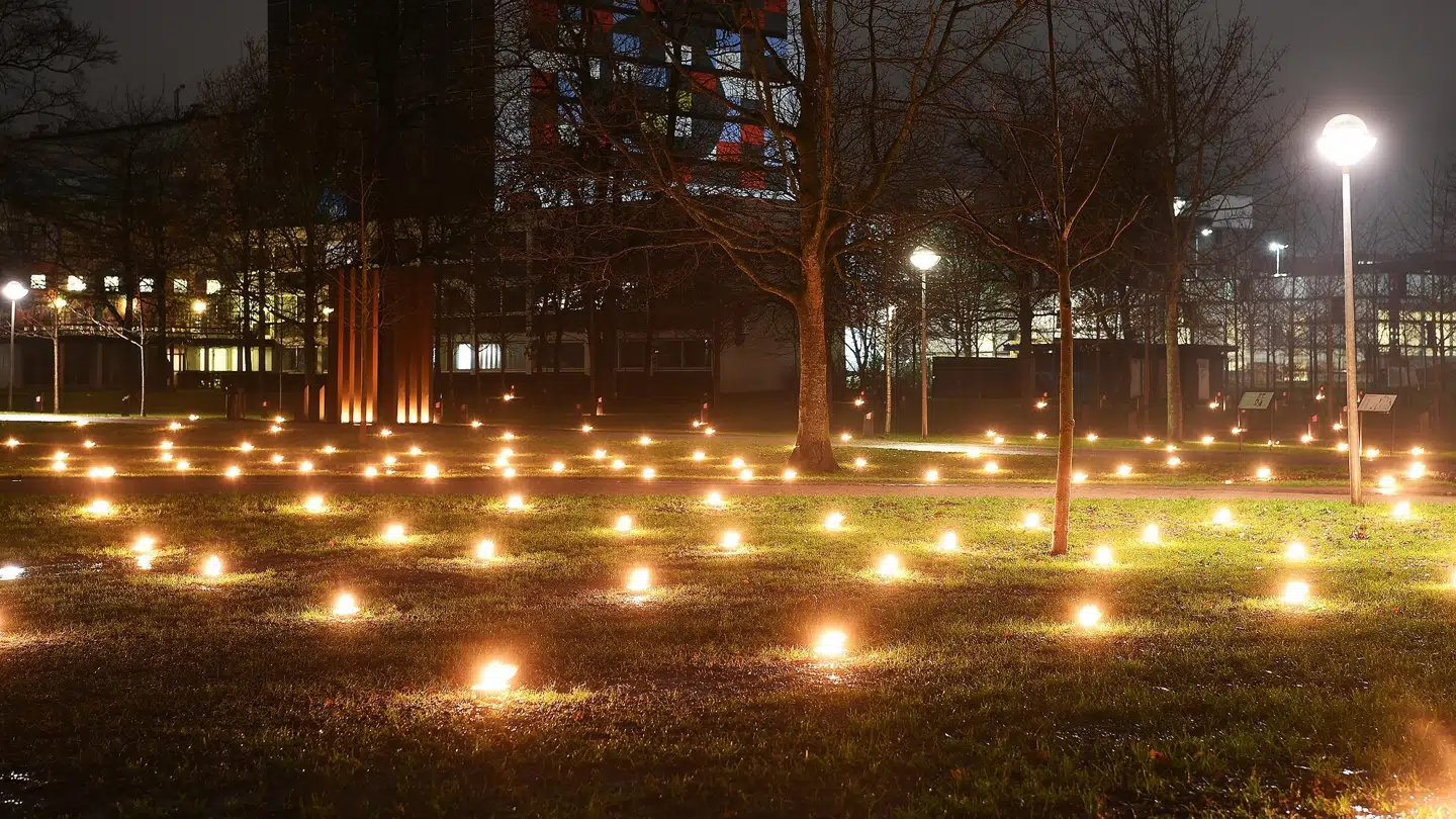 Første søndag i advent starter Kildeparkens lysshow. Foto: AKKC