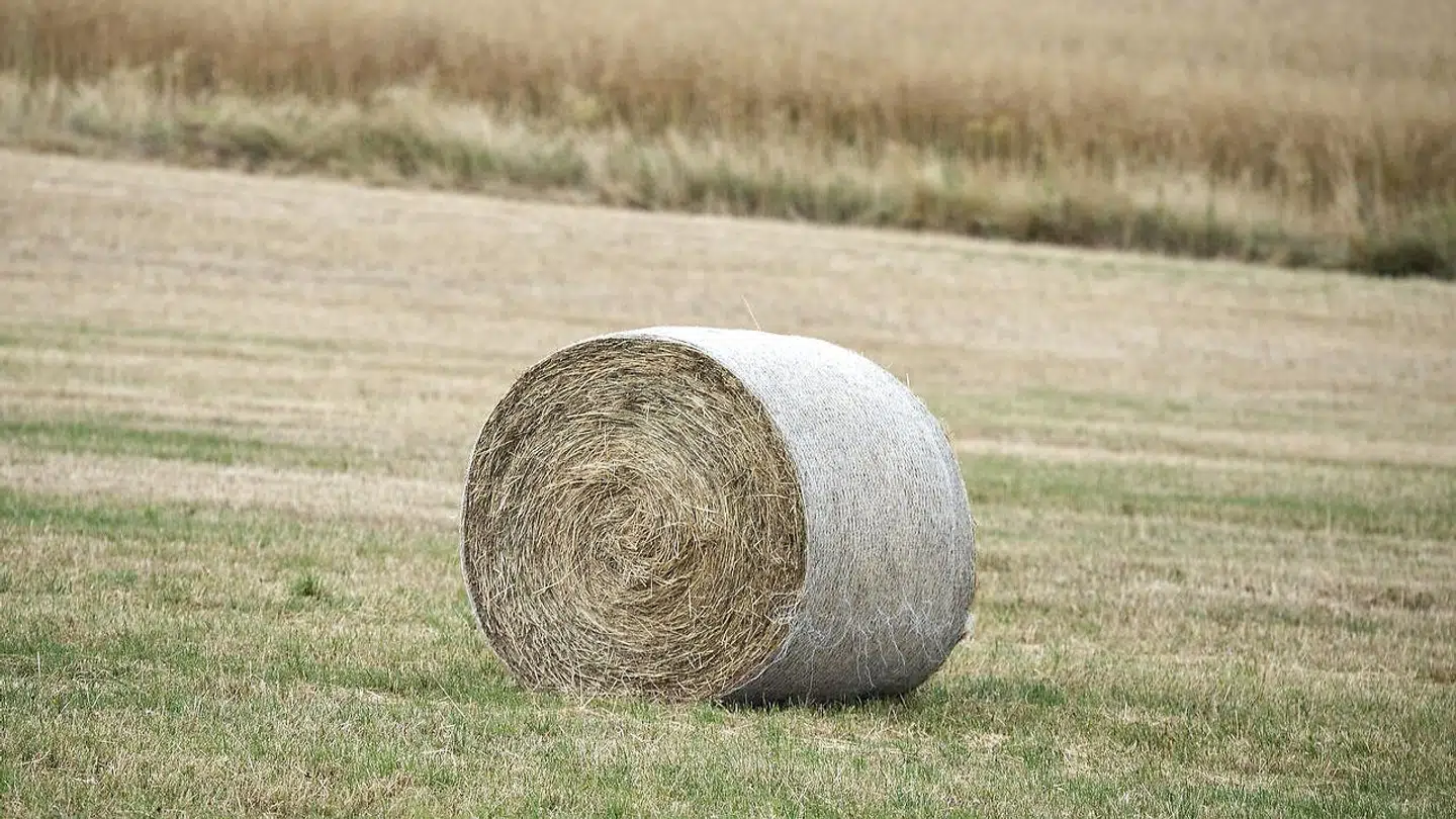 Halmballen, som ramte manden, vejer 500 kilo.