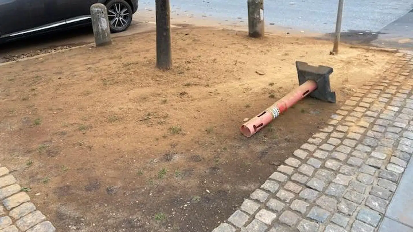 Laget af kanel var nogle steder hele fem centimeter tykt, siger Susanne Kaasby-Wang. Foto: Susanne Kaasby-Wang