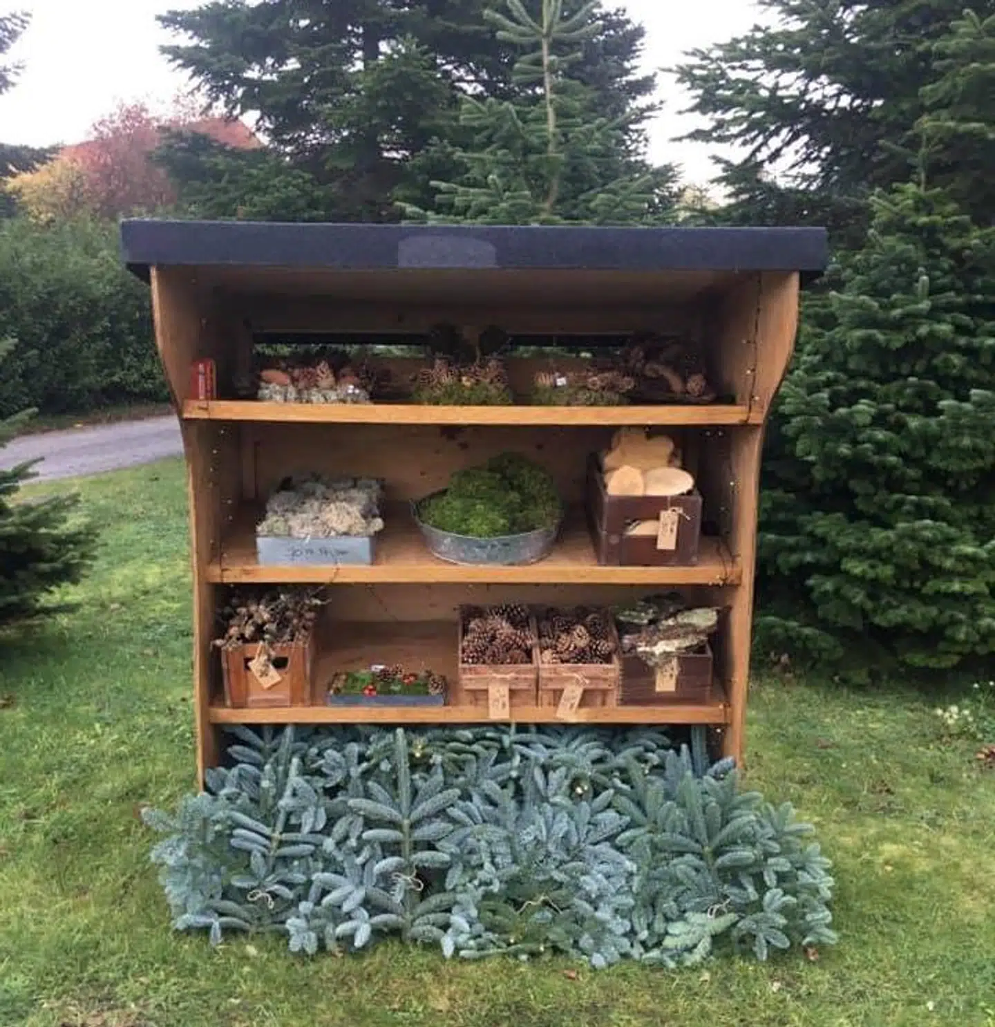 Udover gran, kogler, mos, bark og juledekorationer, så har hun sammen med sin mand også en plantage med juletræer, hvor man selv kan fælde dem. Foto: Privat