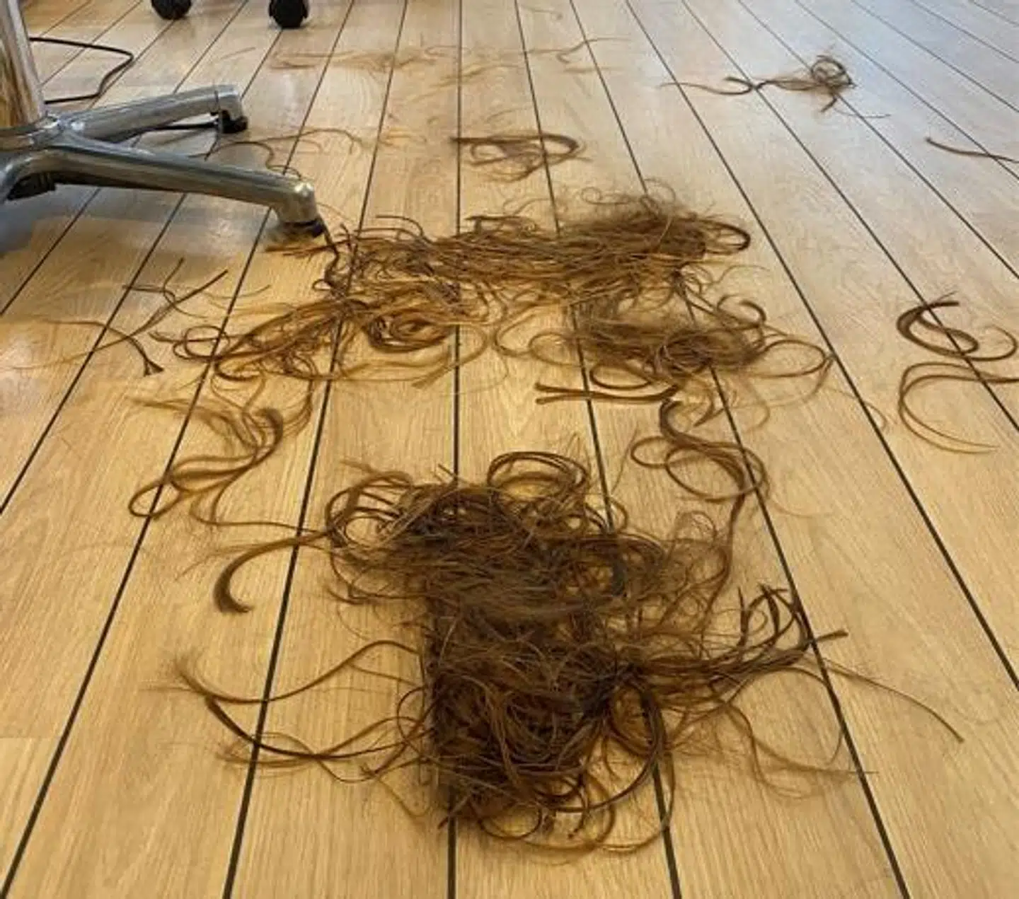 Der røg et godt stykke af, da byrådspolitikeren klippede håret for klimaet.