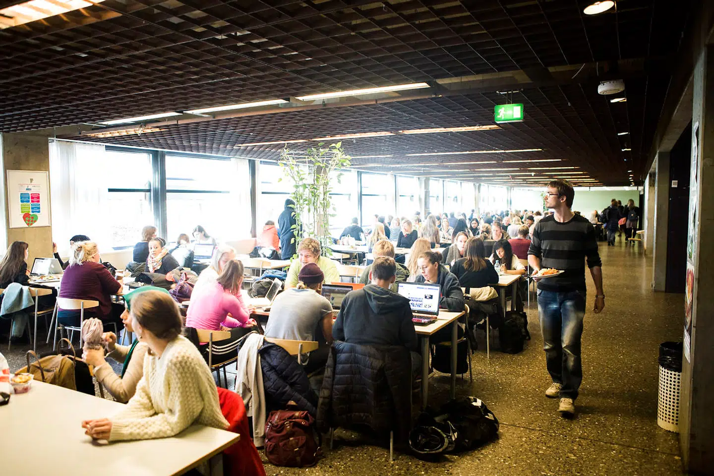 Det er ikke nogen hemmelighed, at flere universiteter i Vesten har taget identitetspolitik til sig. Denne bølge er tilsyneladende også nået Danmark, mener Mitchel Vestergaard.