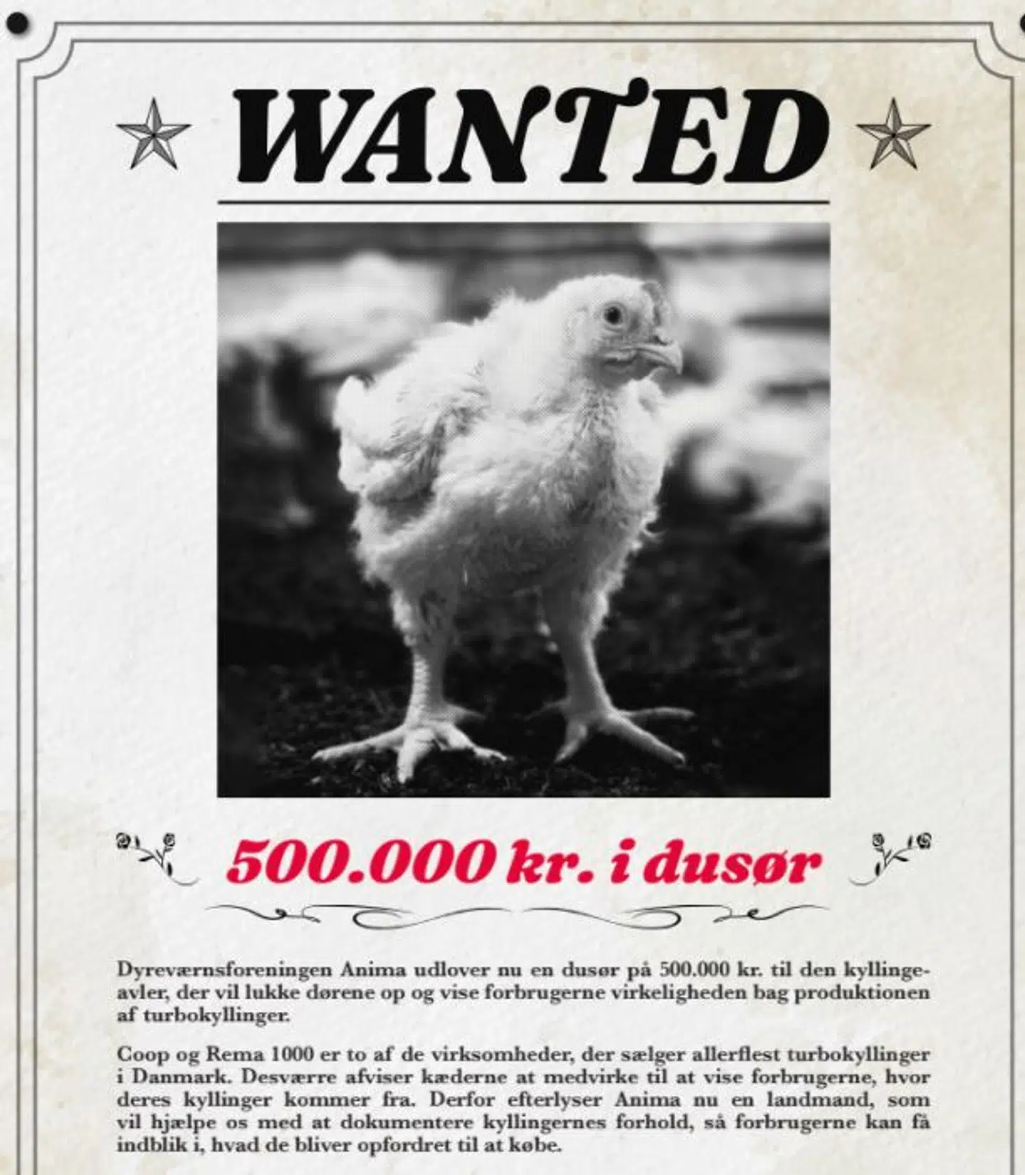 Sådan ser en del af weekendens annonce fra Anima ud.