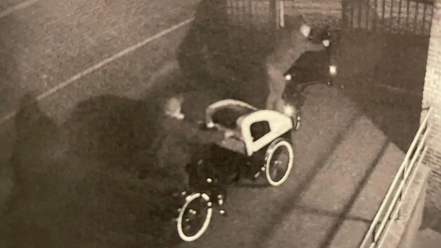 To cykeltyve ses trille afsted med to ladcykler. Den ene tilhører Ahmet Üzümcü, der nu har oplevet at få stjålet to ladcykler. Privatfoto