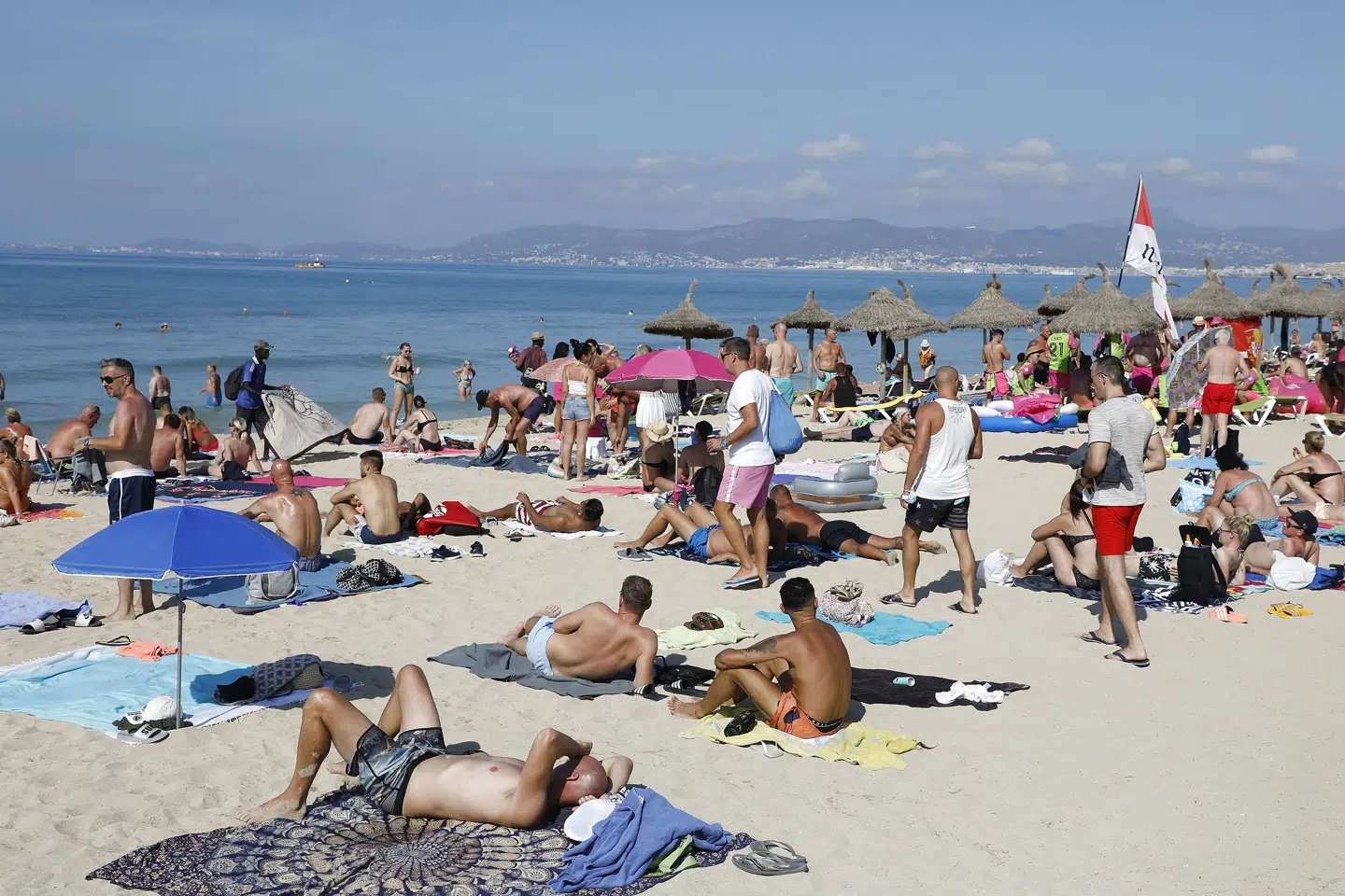 Markant færre rejste i 2020 til charterdestinationer som Mallorca, og det ramte rejsebureauernes økonomi. (Arkivfoto) Clara Margais/Ritzau Scanpix