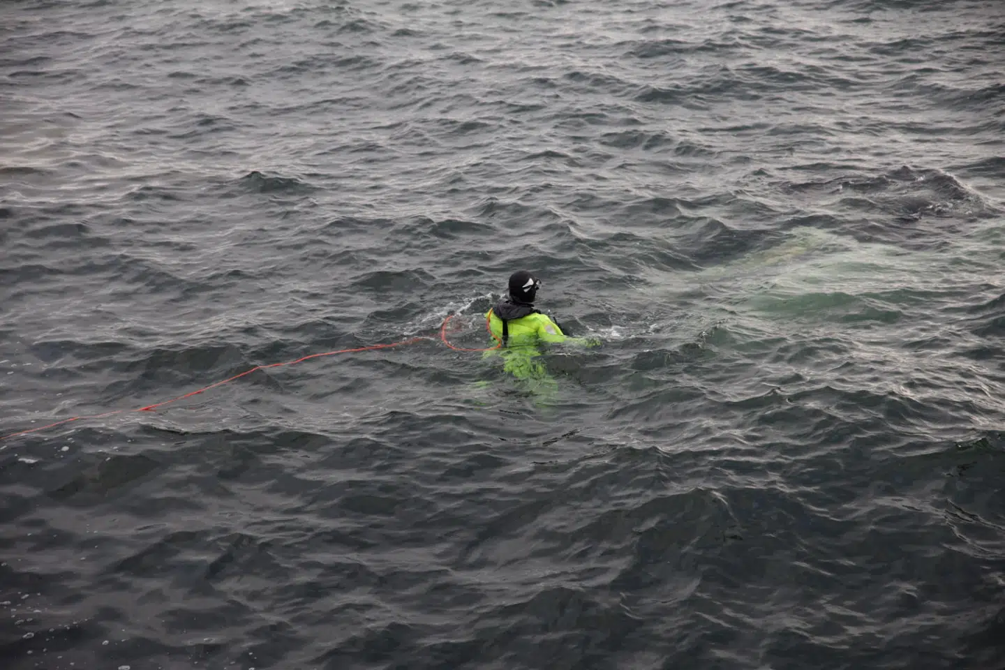 Også dykkere er i vandet.