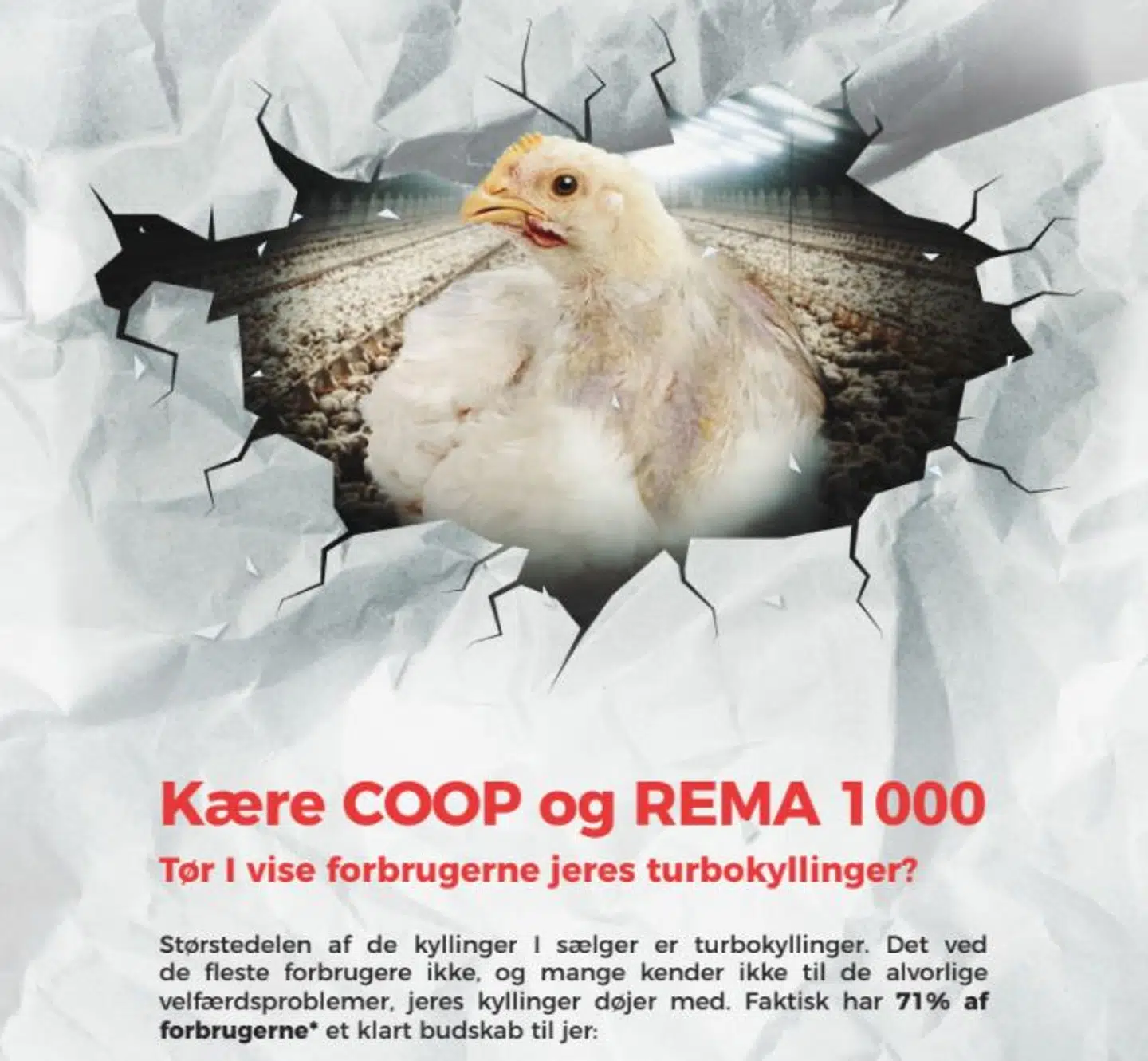 Sådan ser en del af Animas annonce ud.